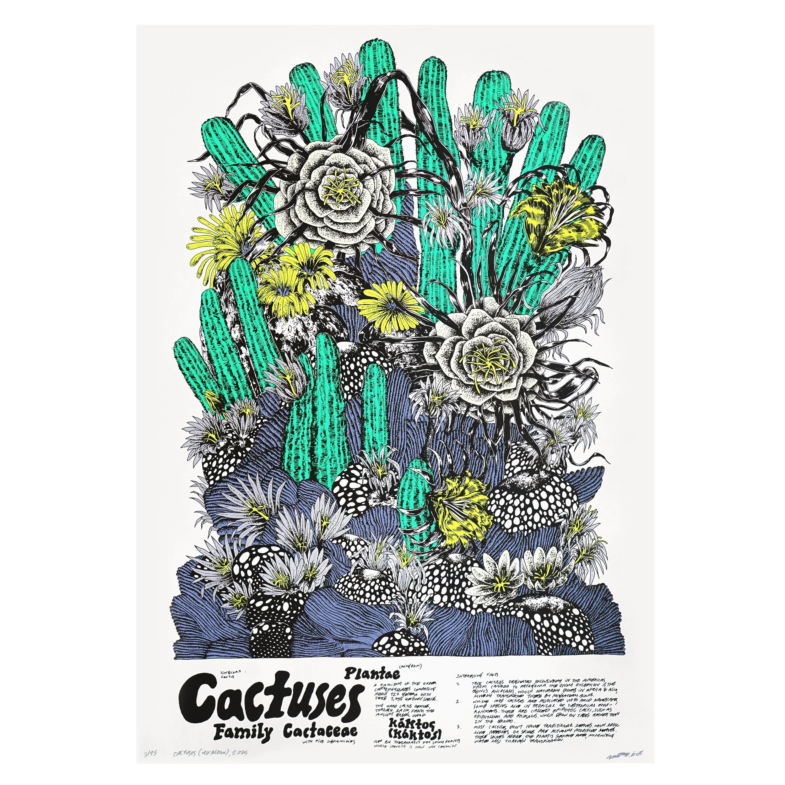 Cactuses