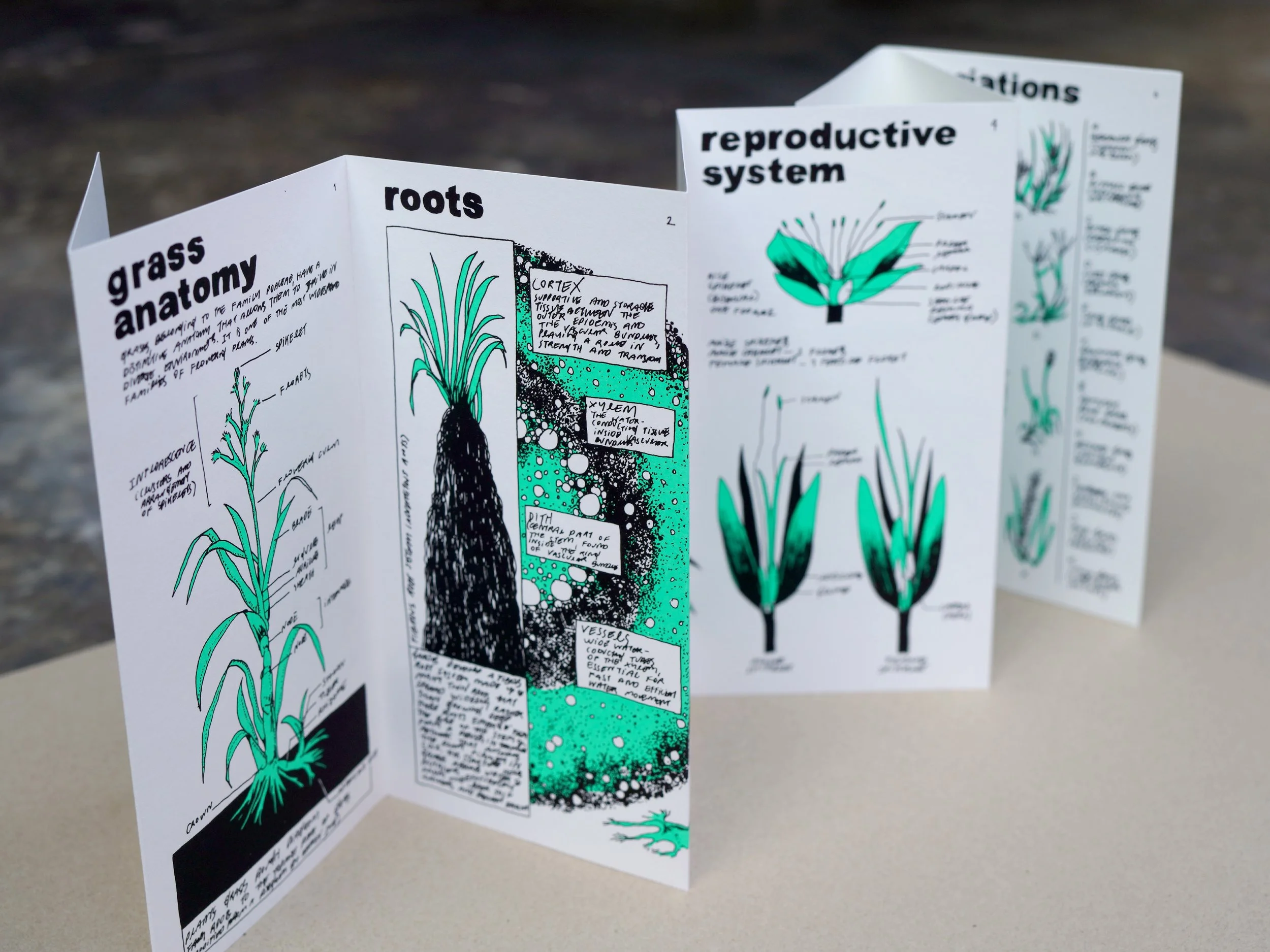 nene_grass_zine_11.jpg