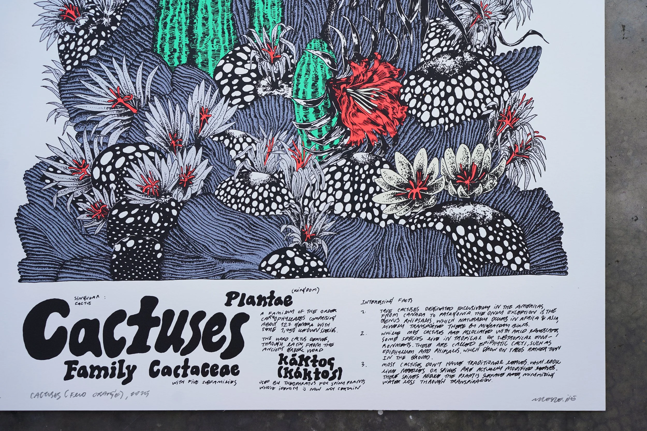 Nene—Cactuses_3.jpg