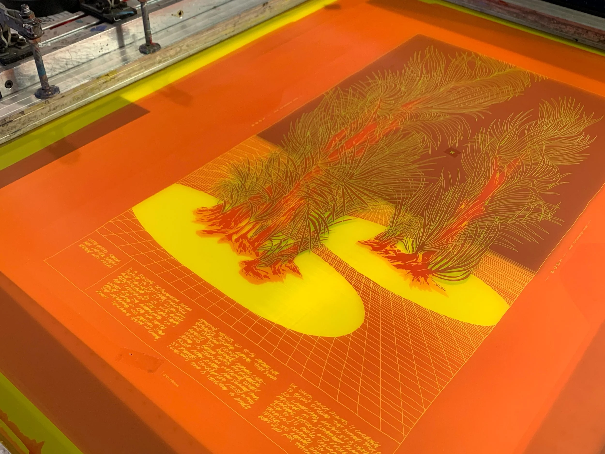 nene_Cyrtostachys renda_screen.jpg