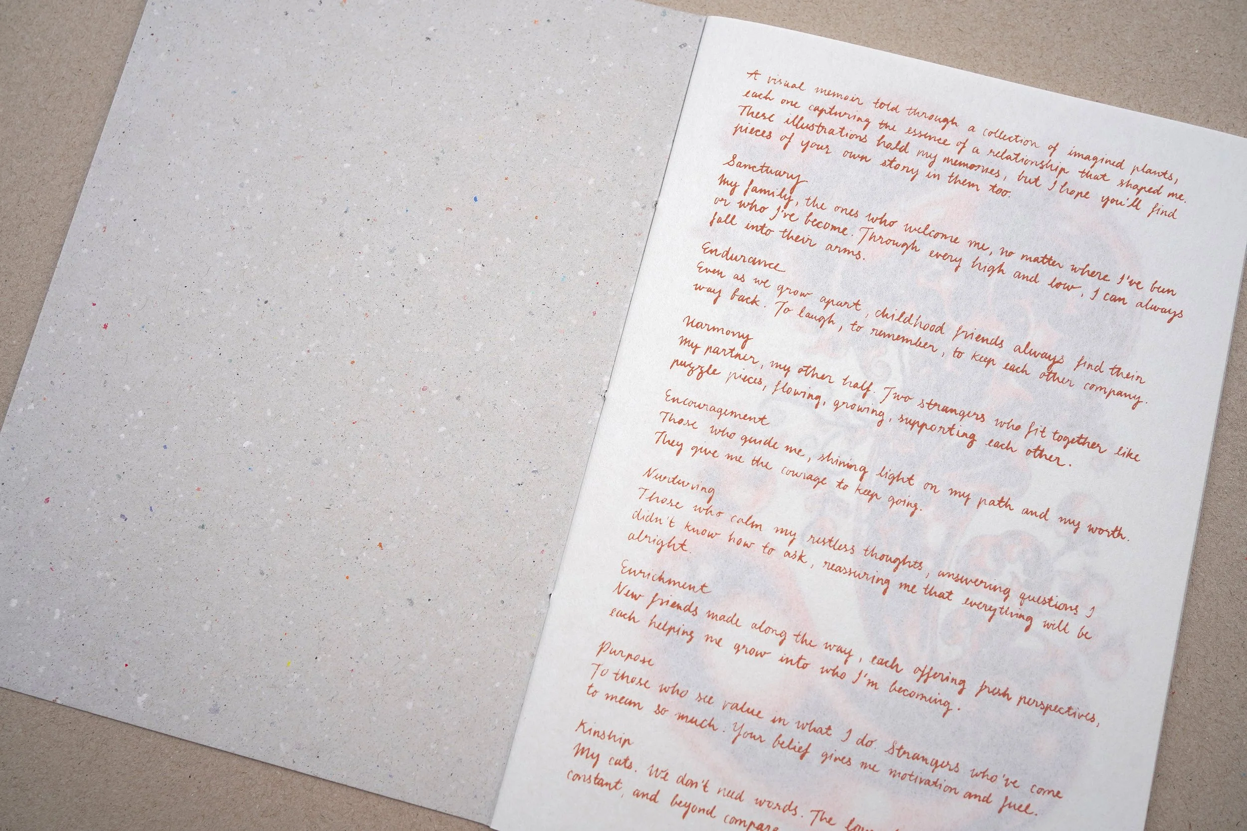 Lili Tae - HOTH_zine1.jpg