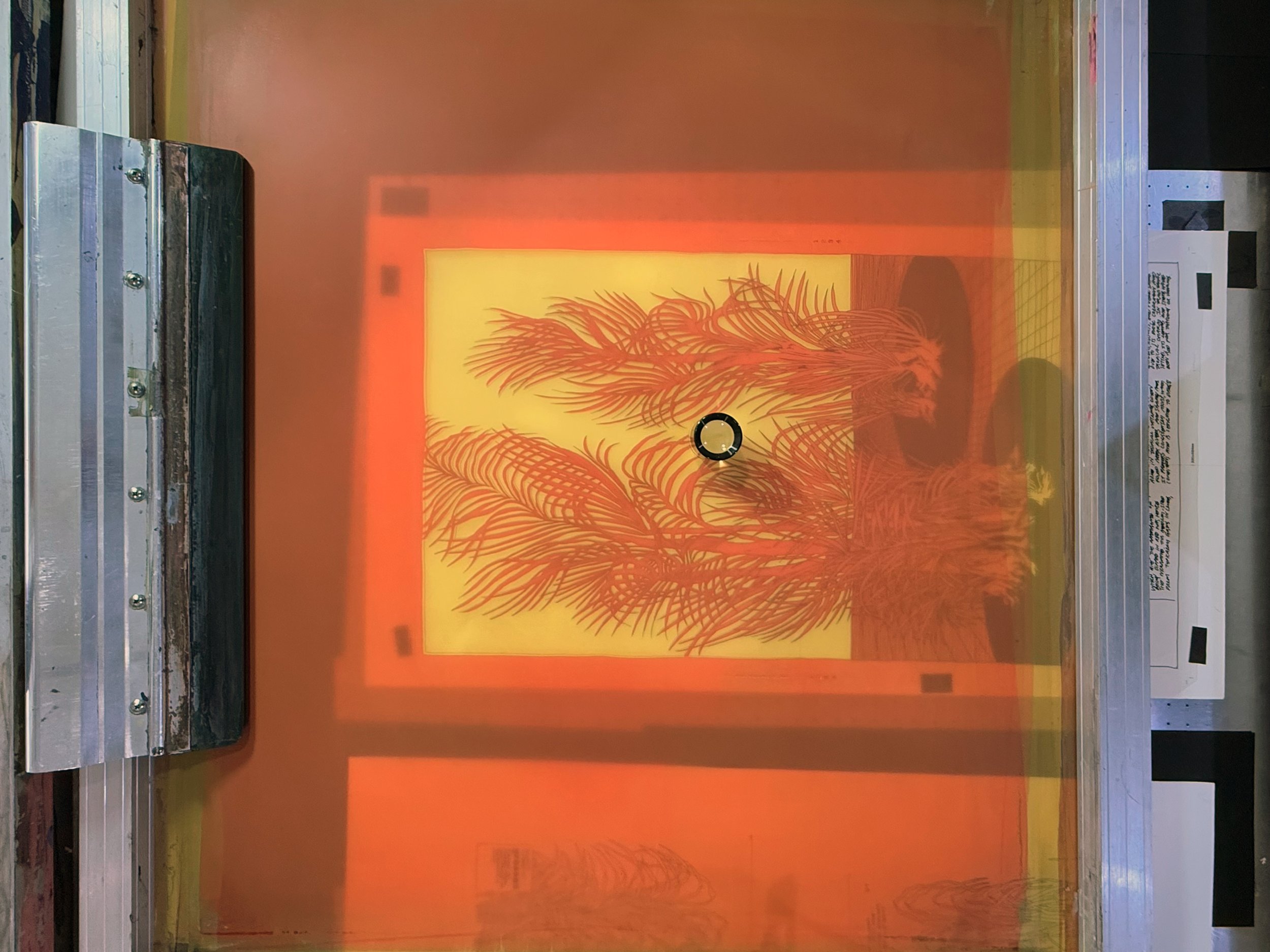 nene_Cyrtostachys renda_07.jpg