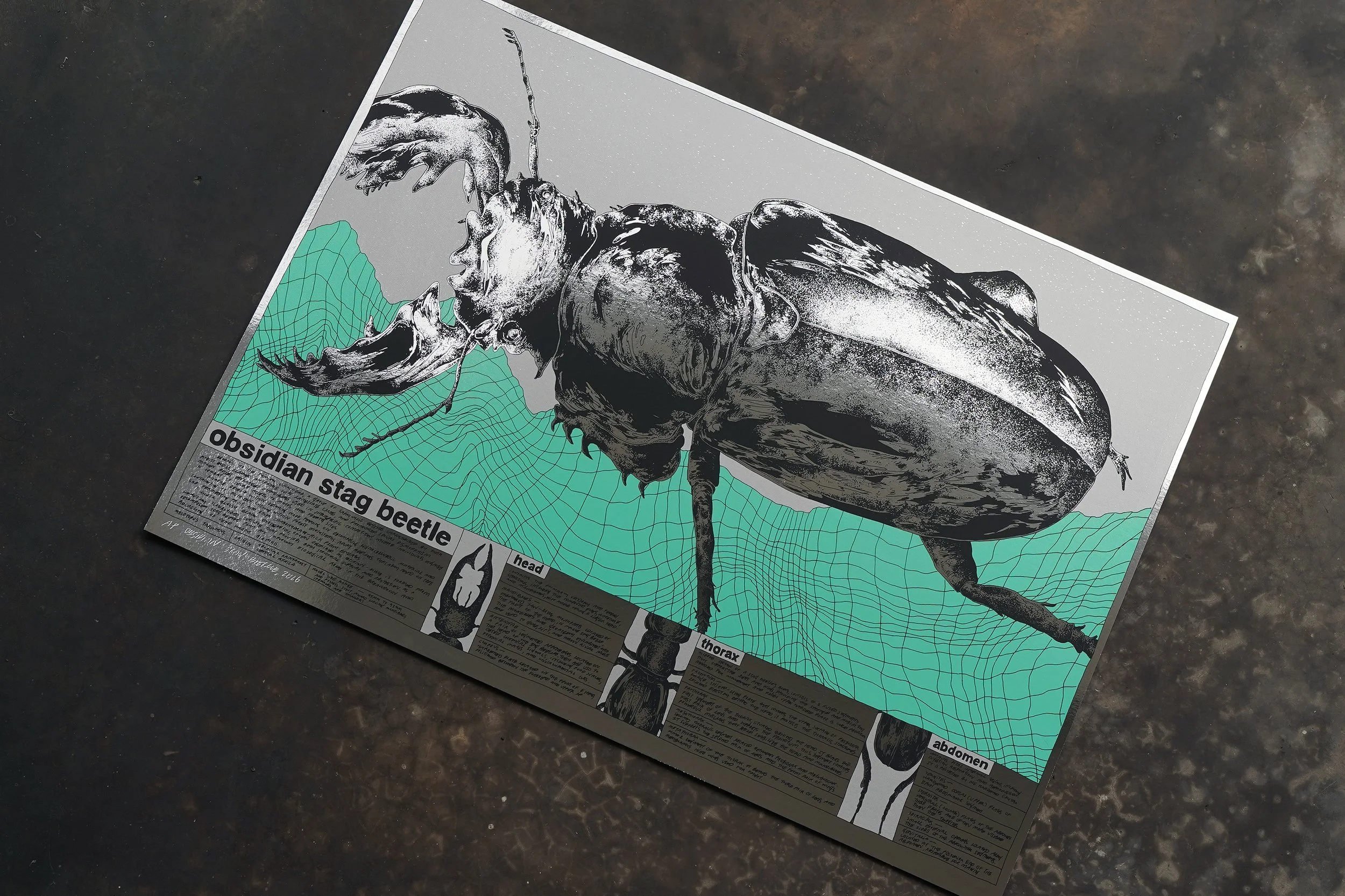 nene_obsidian stag beetle _ AP4.jpg