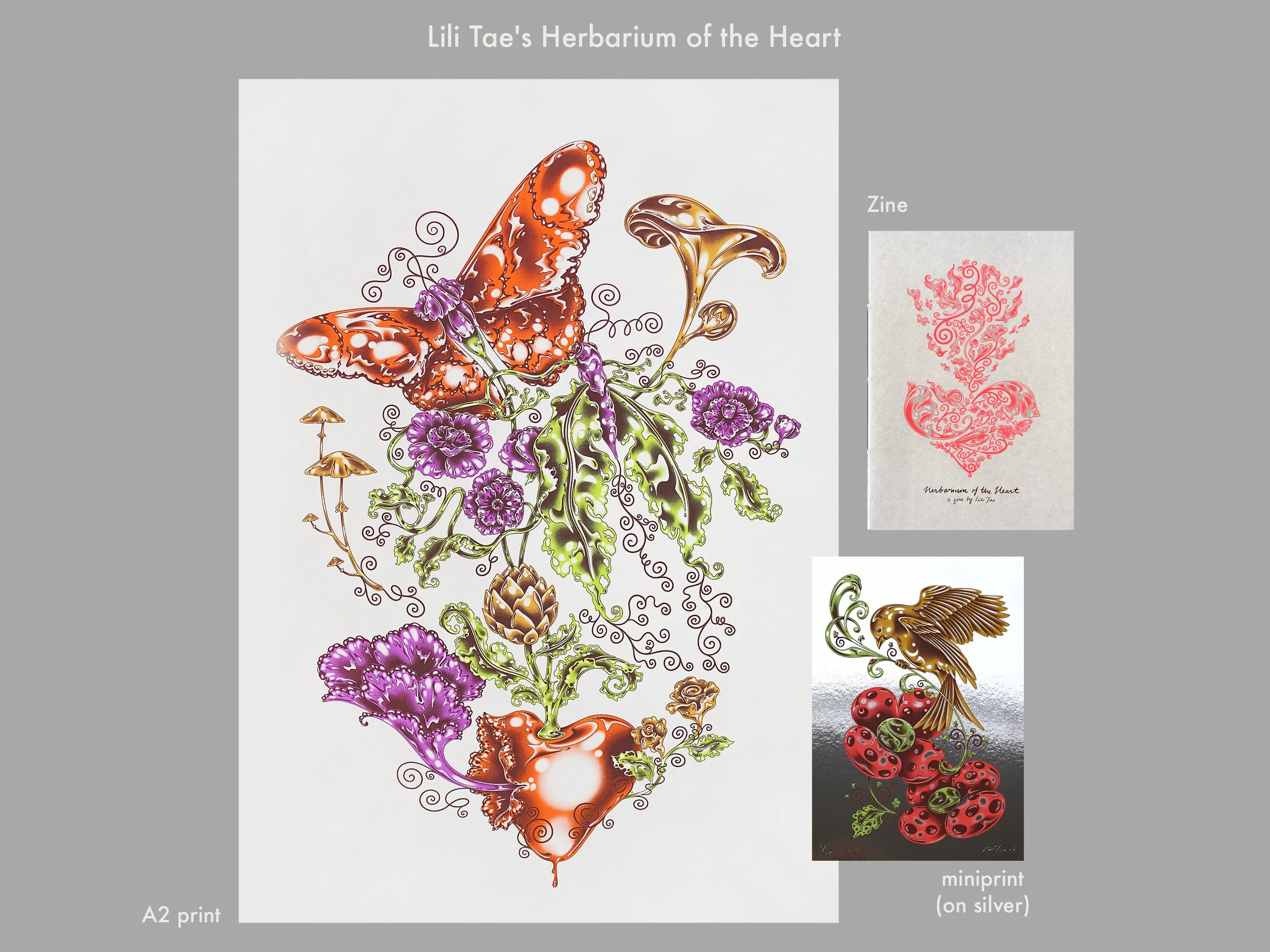 Lili Tae - HOTH_set_silver.jpg