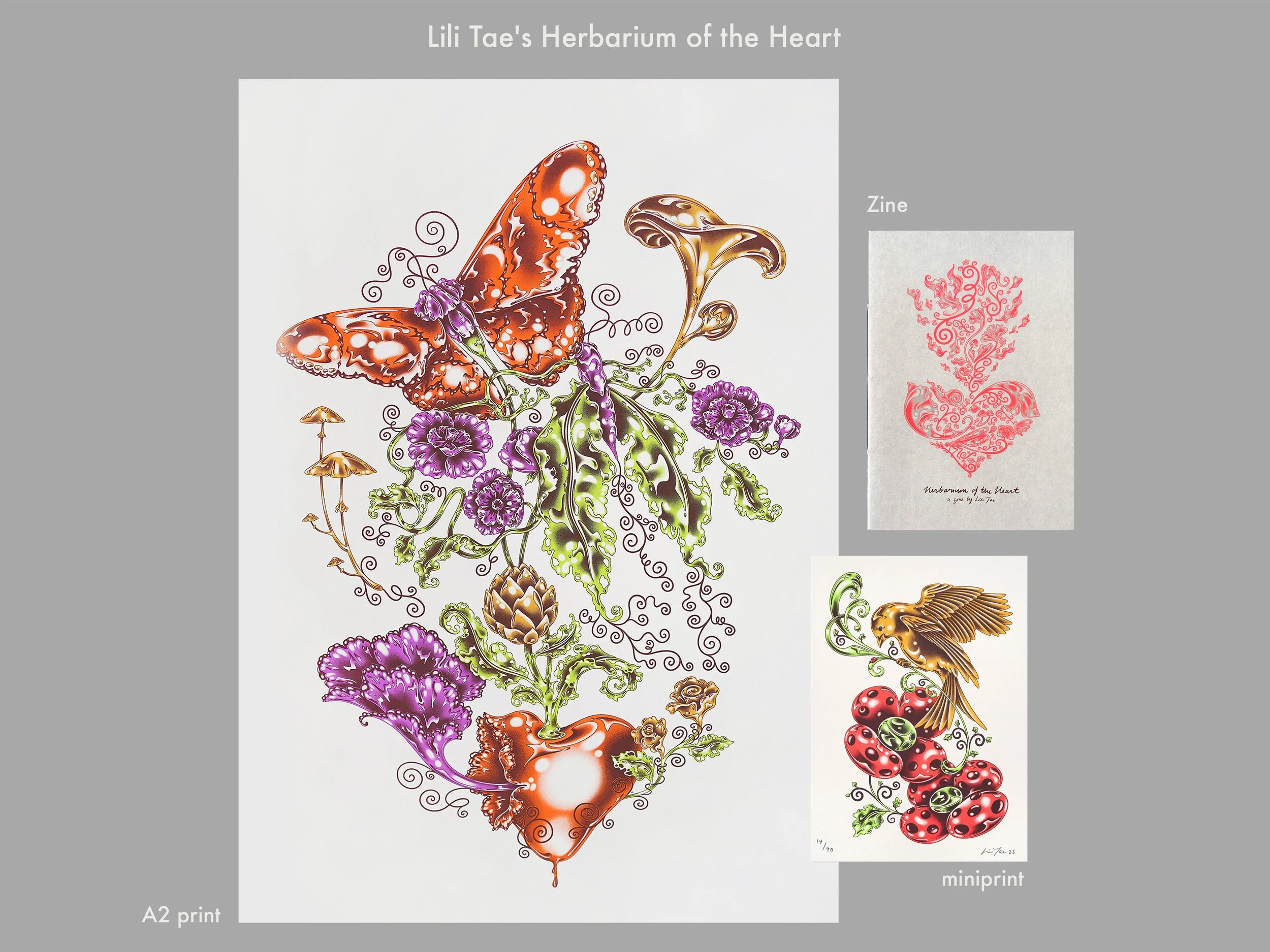 Lili Tae - HOTH_set_normal.jpg