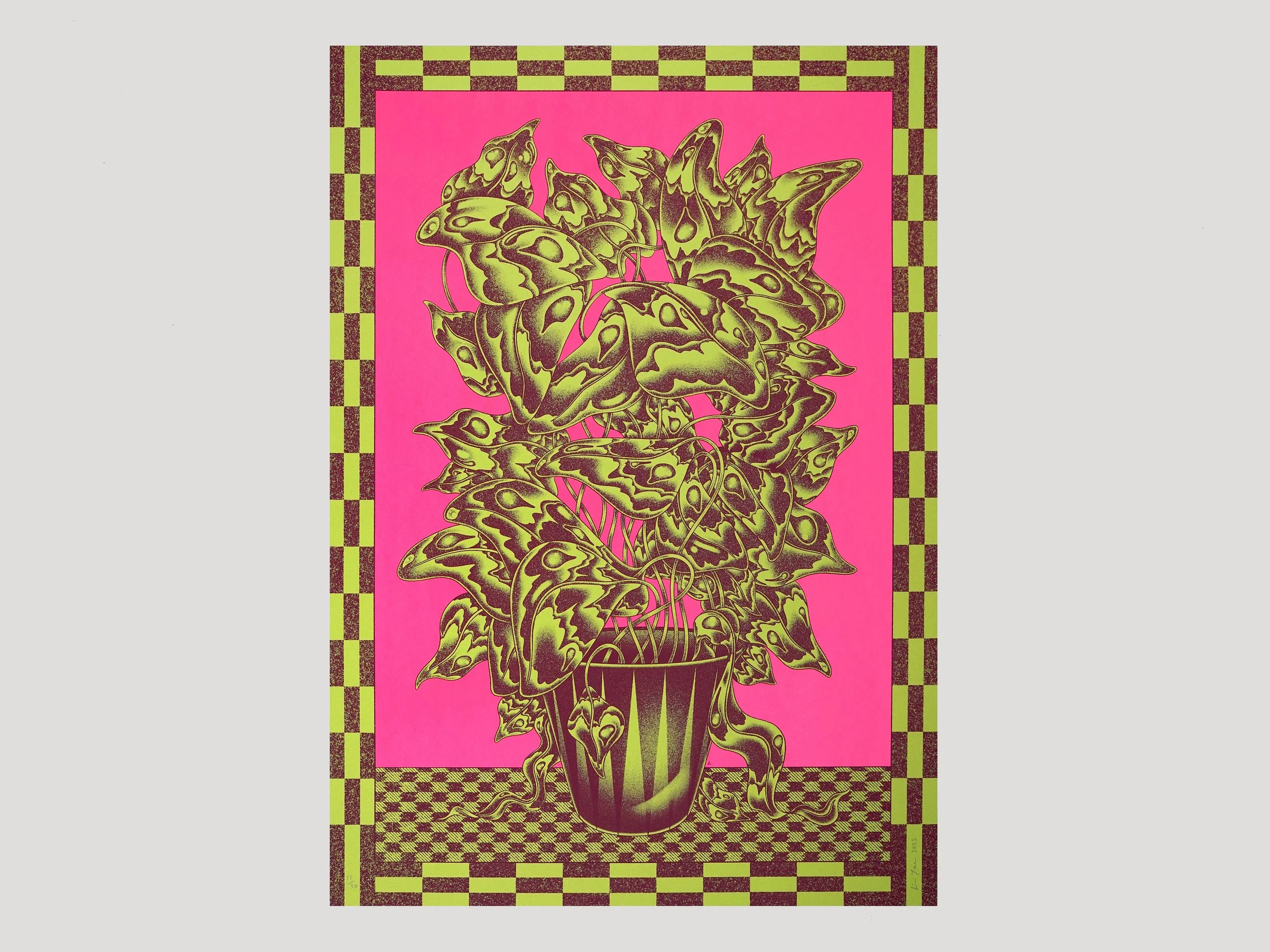 Lili Tae - Atlas.jpg