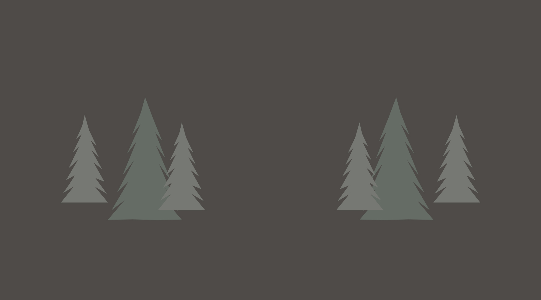 NSC_Background6.jpg