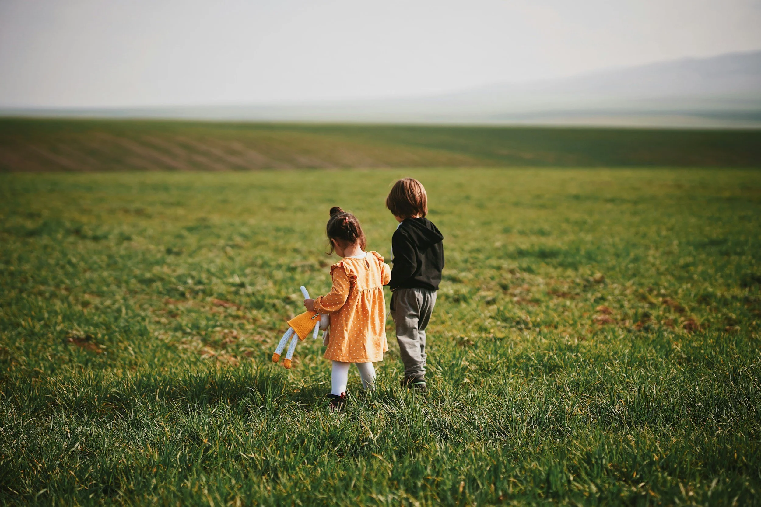 Two children, a girl in an orange dress holding a stuffed toy, and a boy in a black hoodie, walking in a lush green field with rolling hills in the distance.