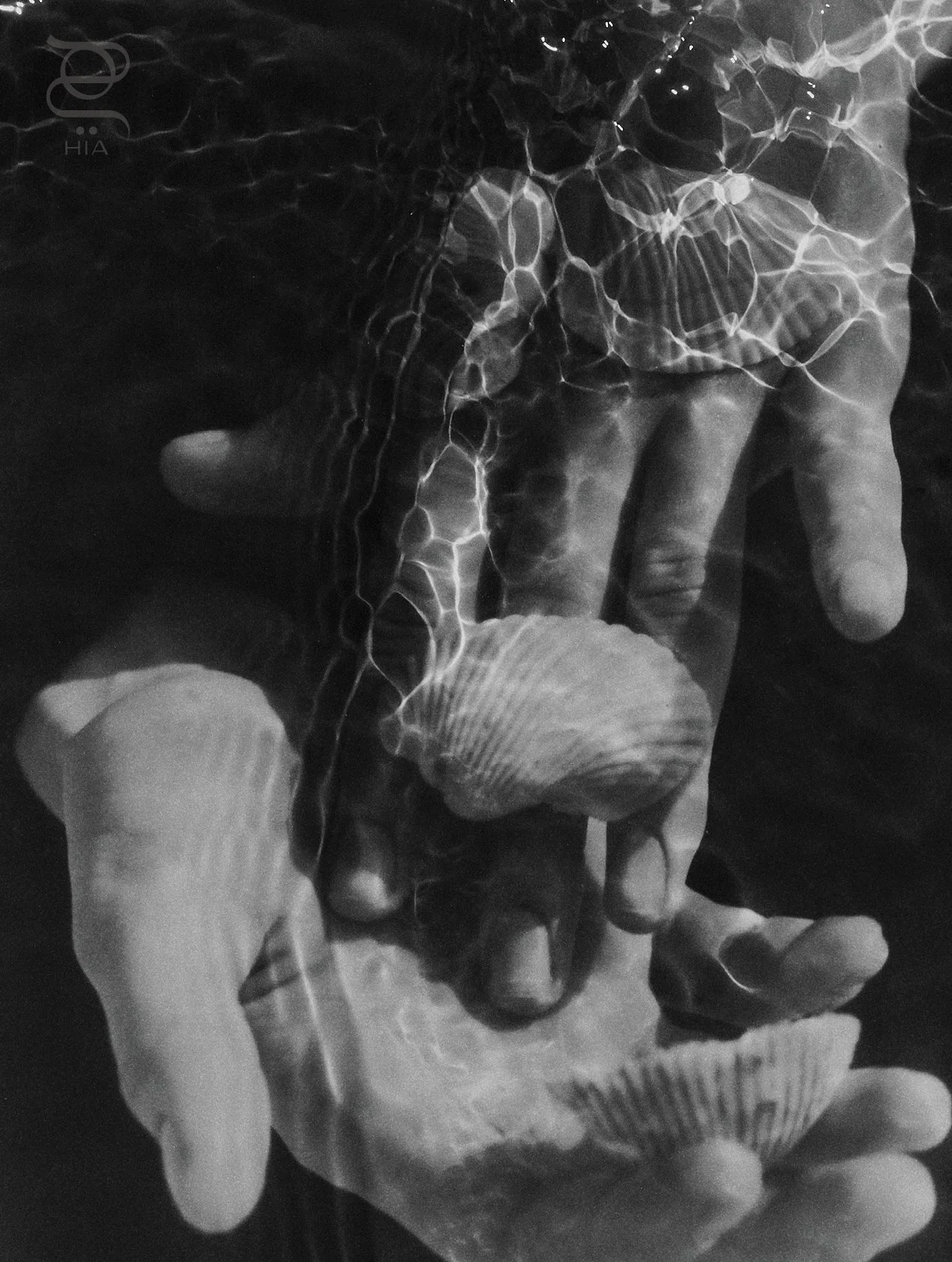 MultiBrand Shoot-6.jpeg