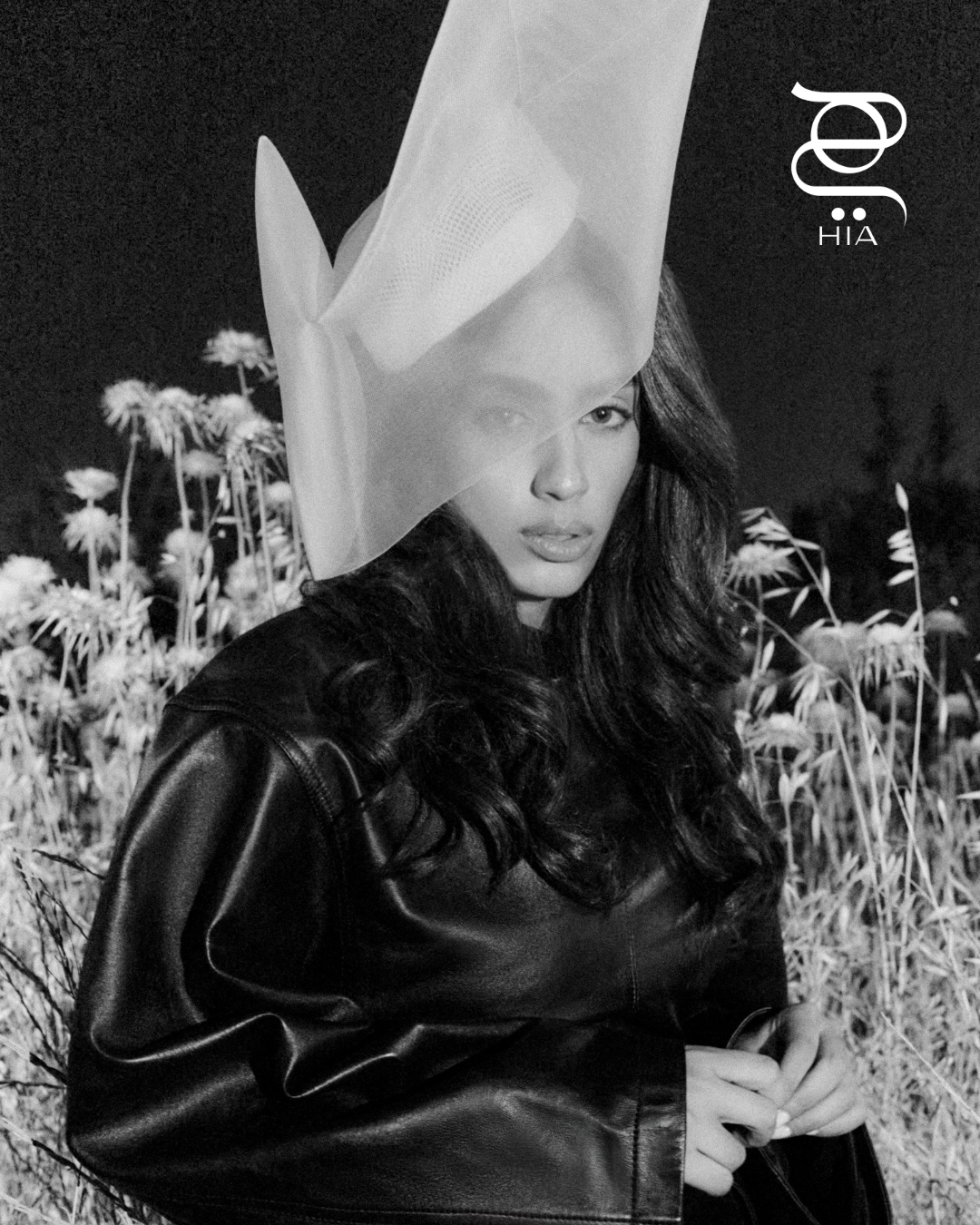 31.png