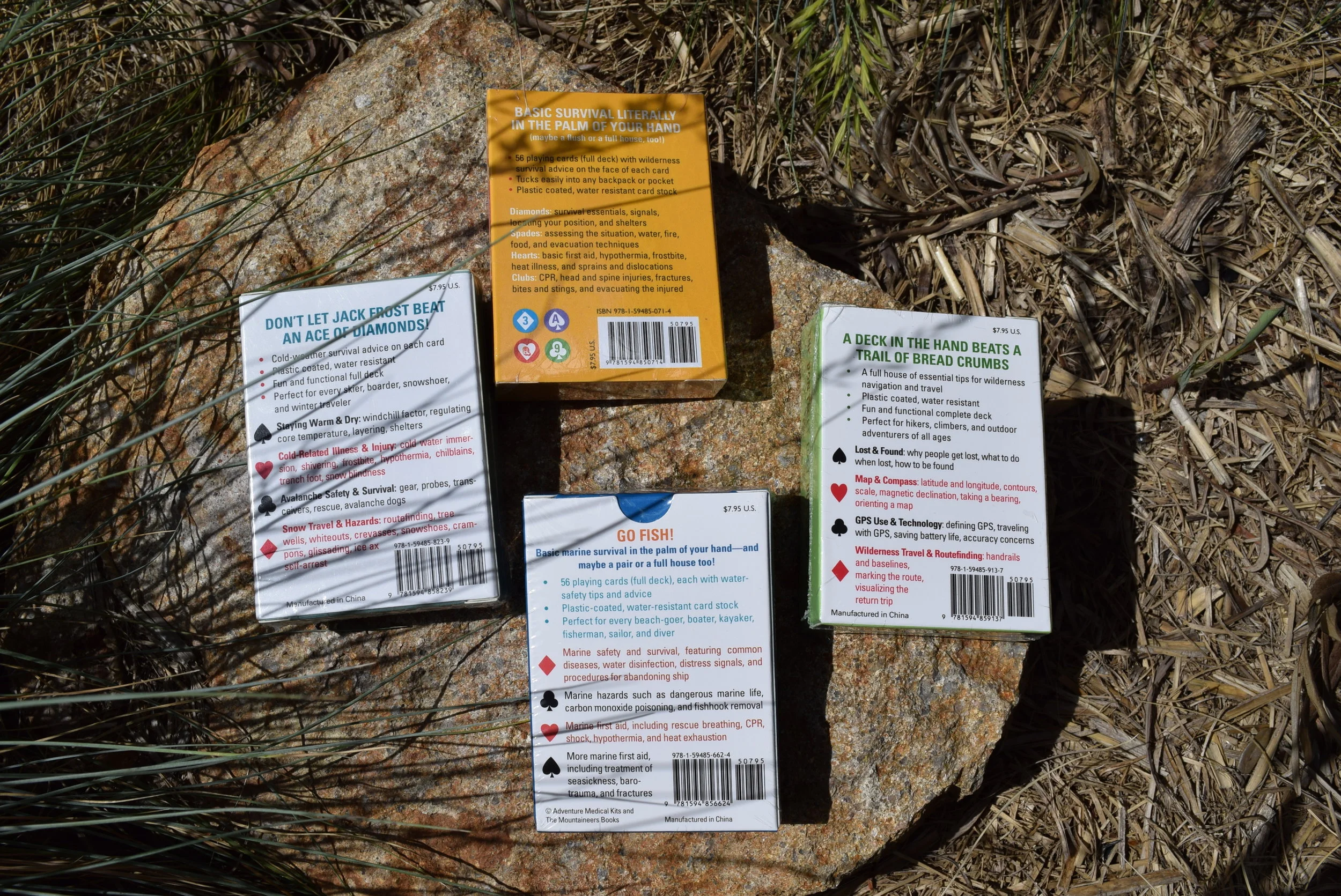 Survival Cards - reverse side.JPG