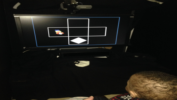 Infant participant doing an eye-tracking task