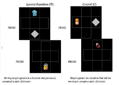 Sample screenshots from a recent experiment investigating attention development in 12 month olds