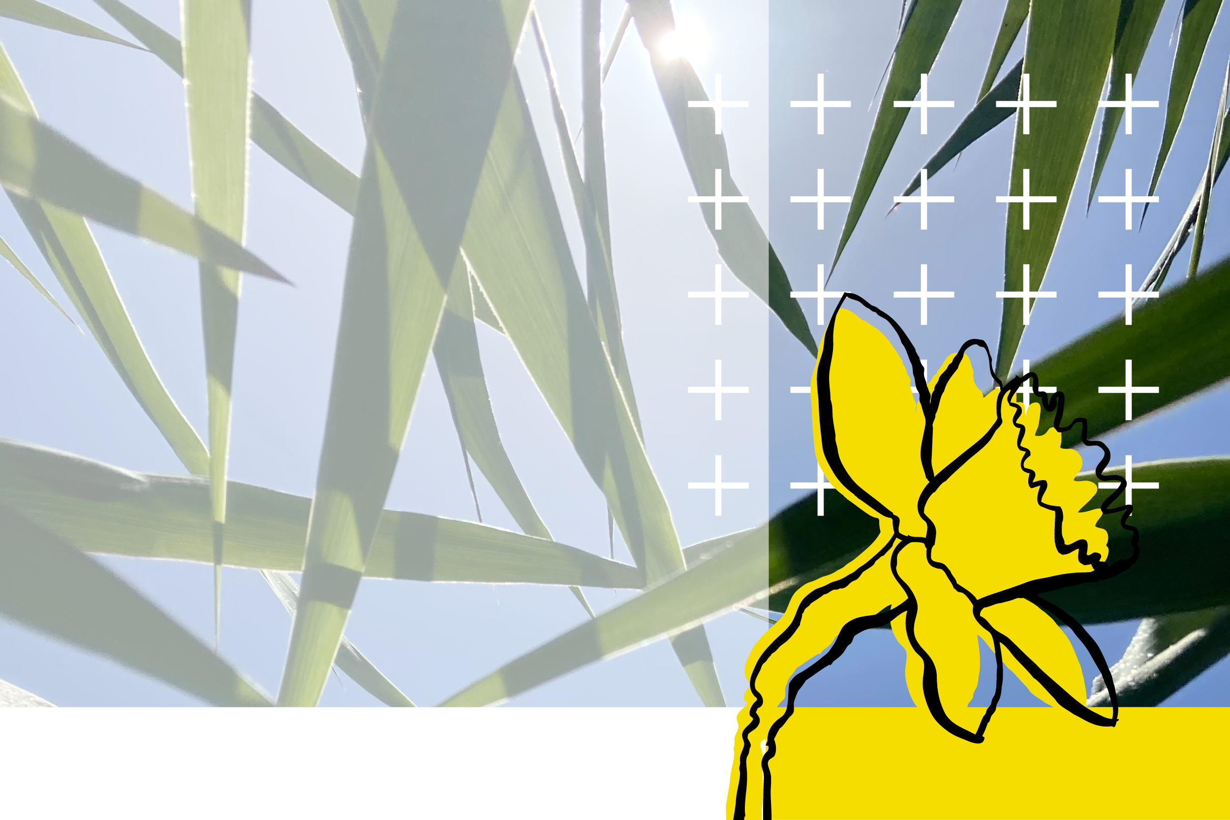 2023 beelden voor website_entree_maart 2023.png