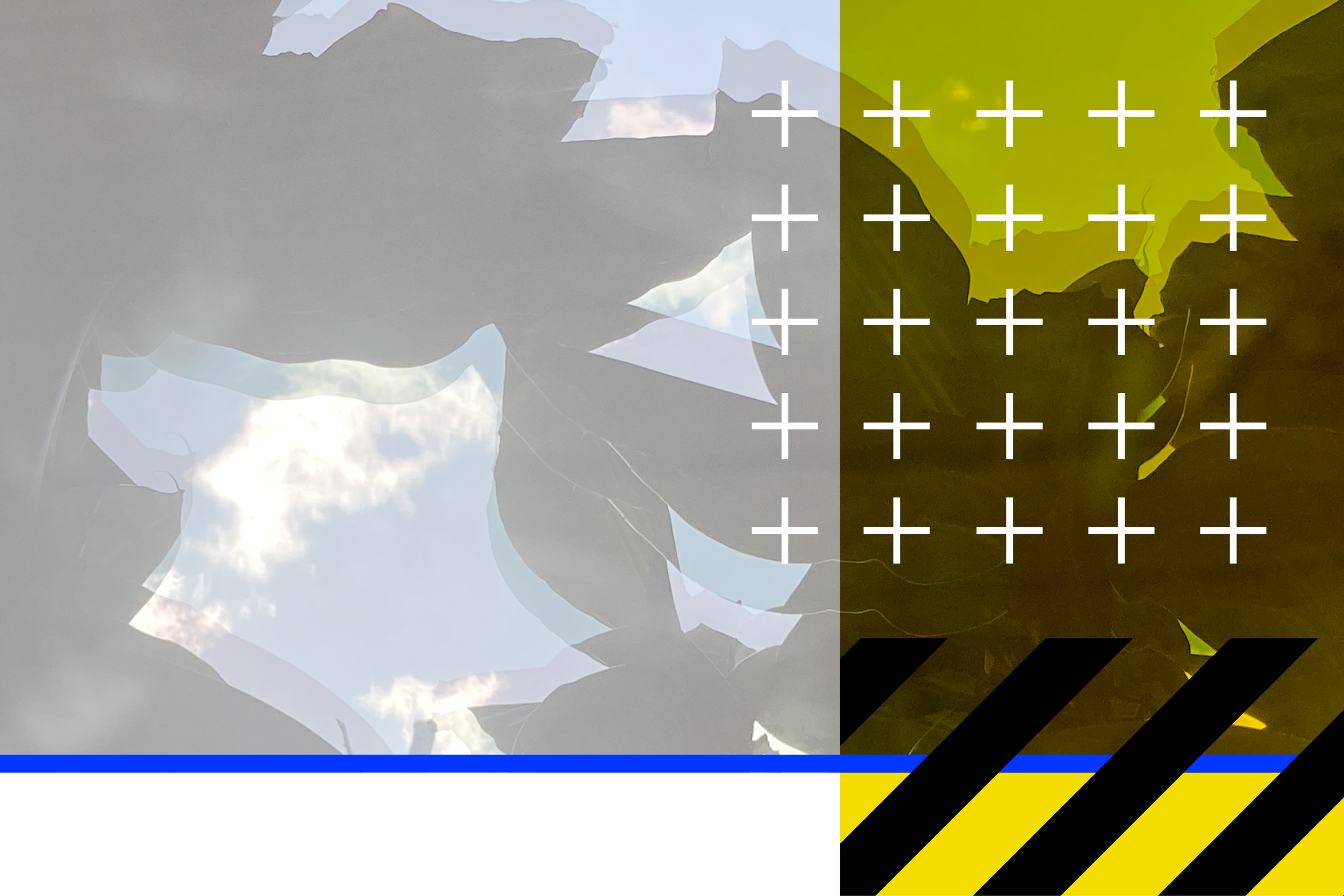 2023 beelden voor website_entree_maart 20233.png