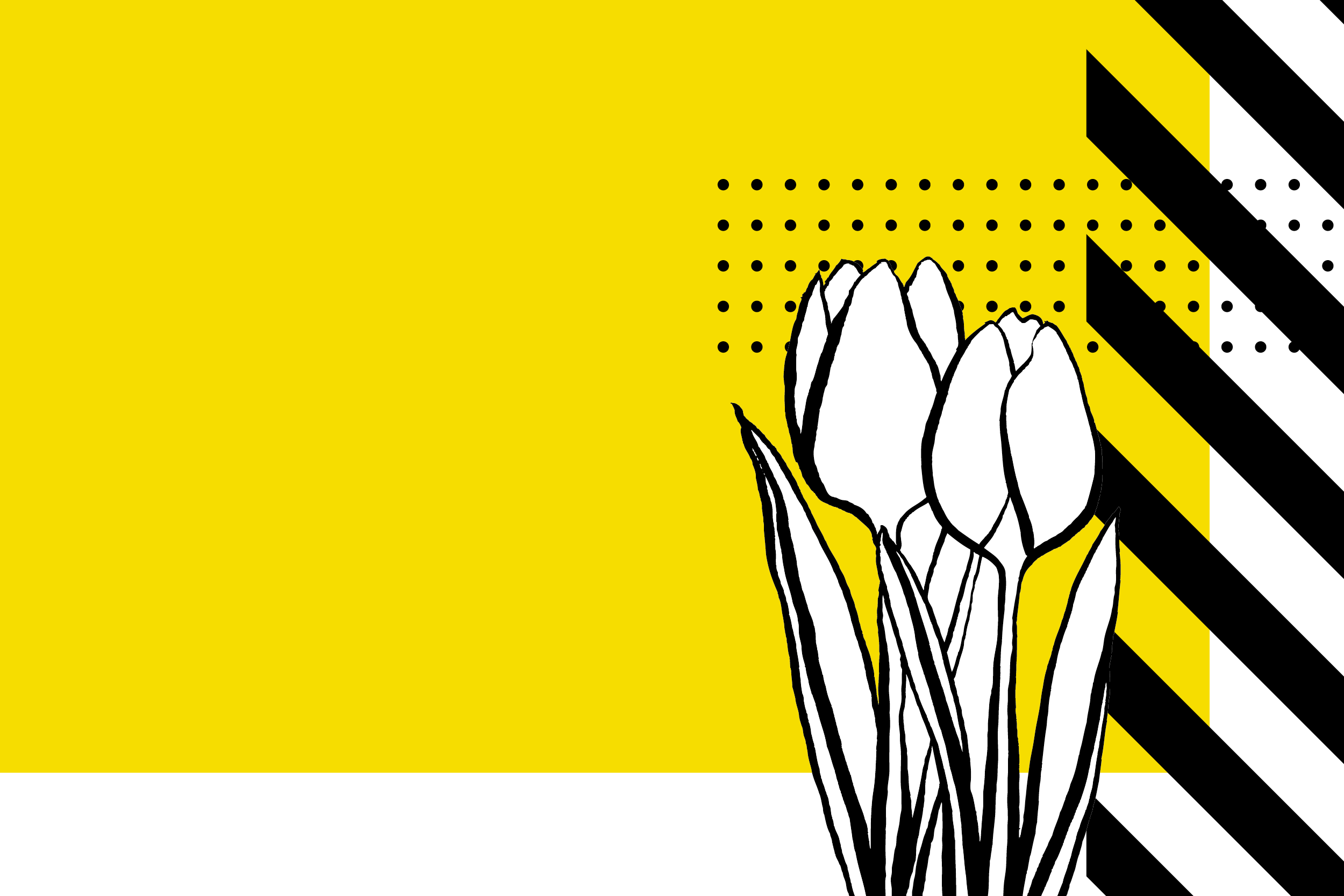 2023 beelden voor website_entree_maart 20234.png