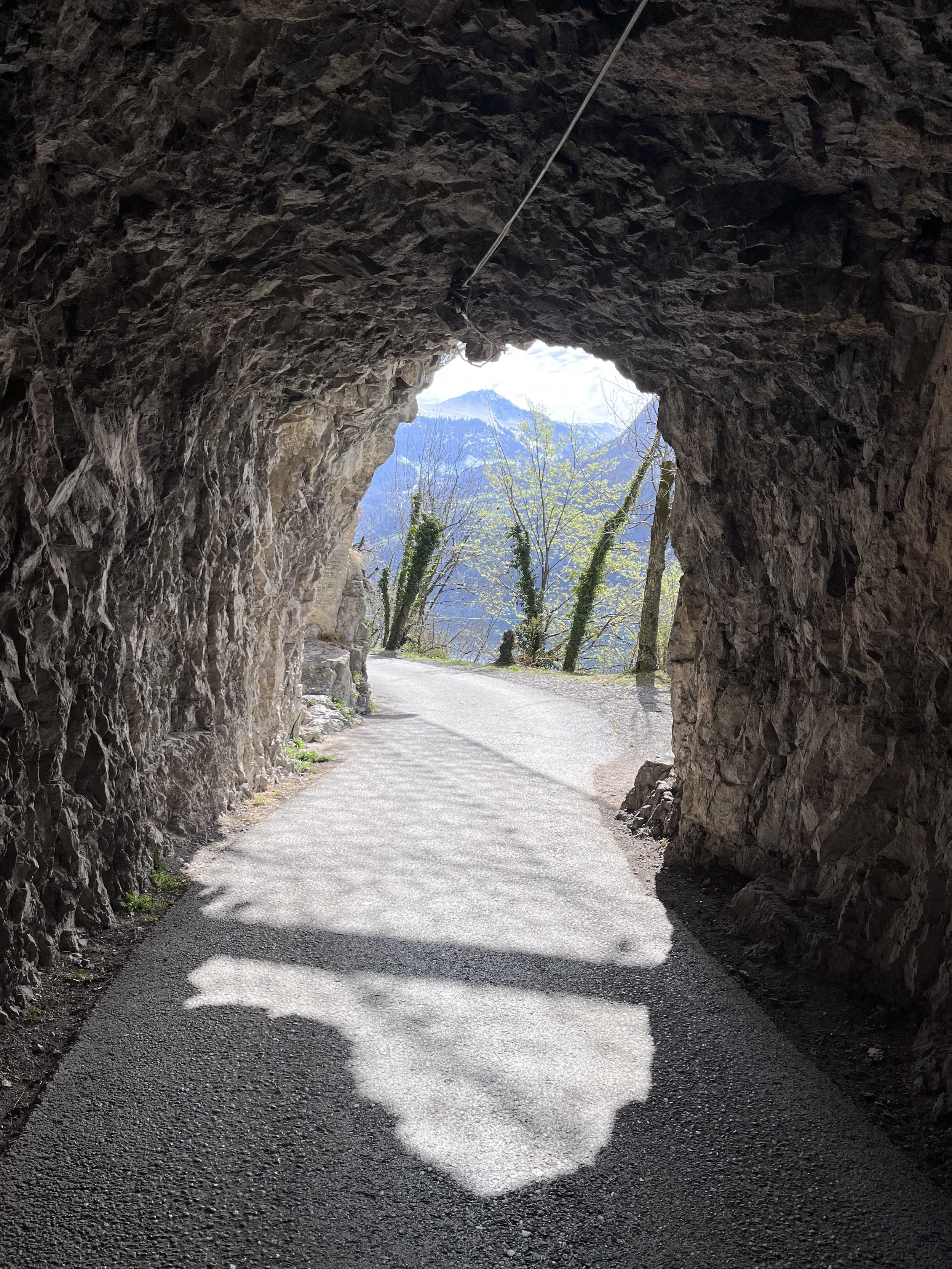 The Lord himself goes before you