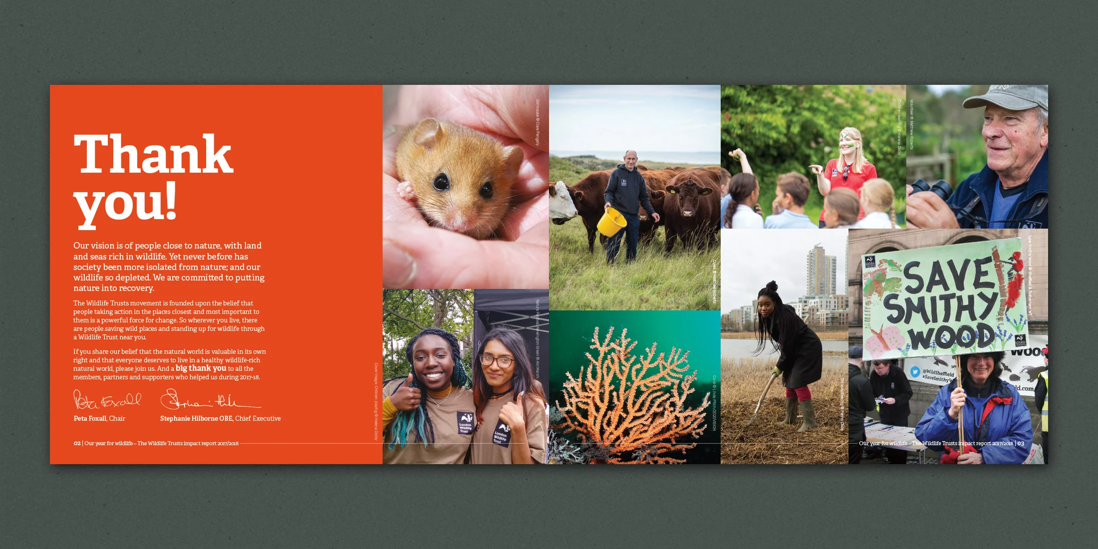 TWT-Annual-Impact-Report-Pages-01.jpg