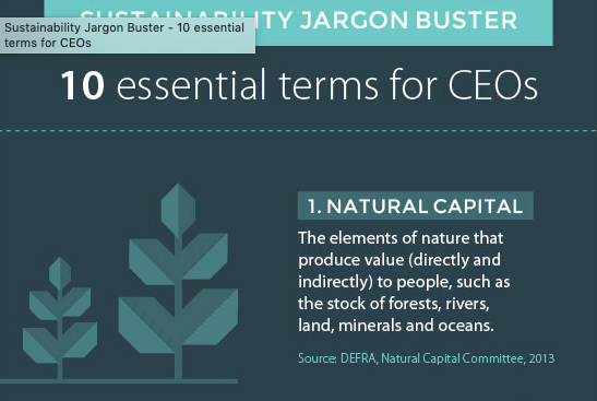Sustainability-Jargon-Buster.png