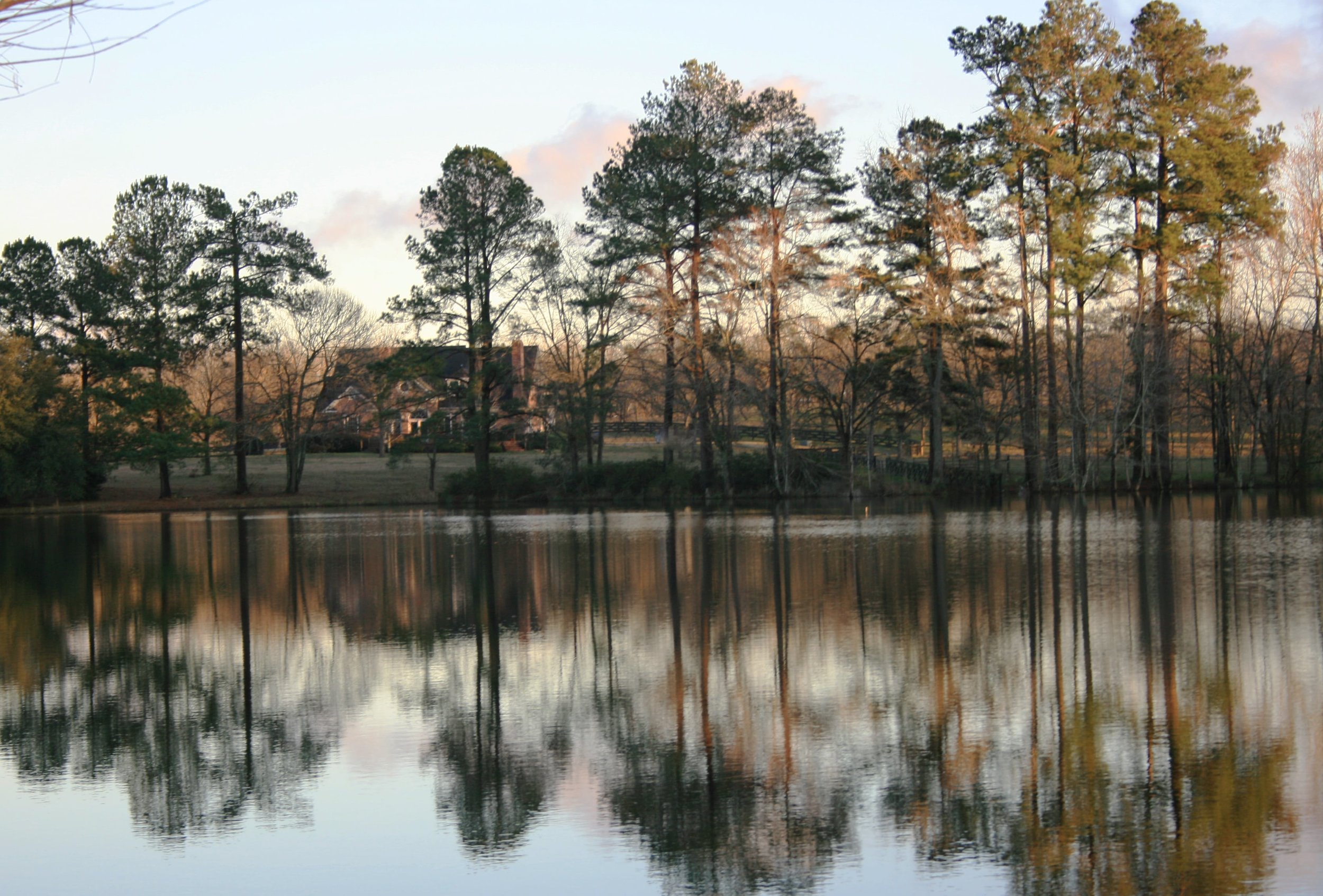across the lake-min.jpg