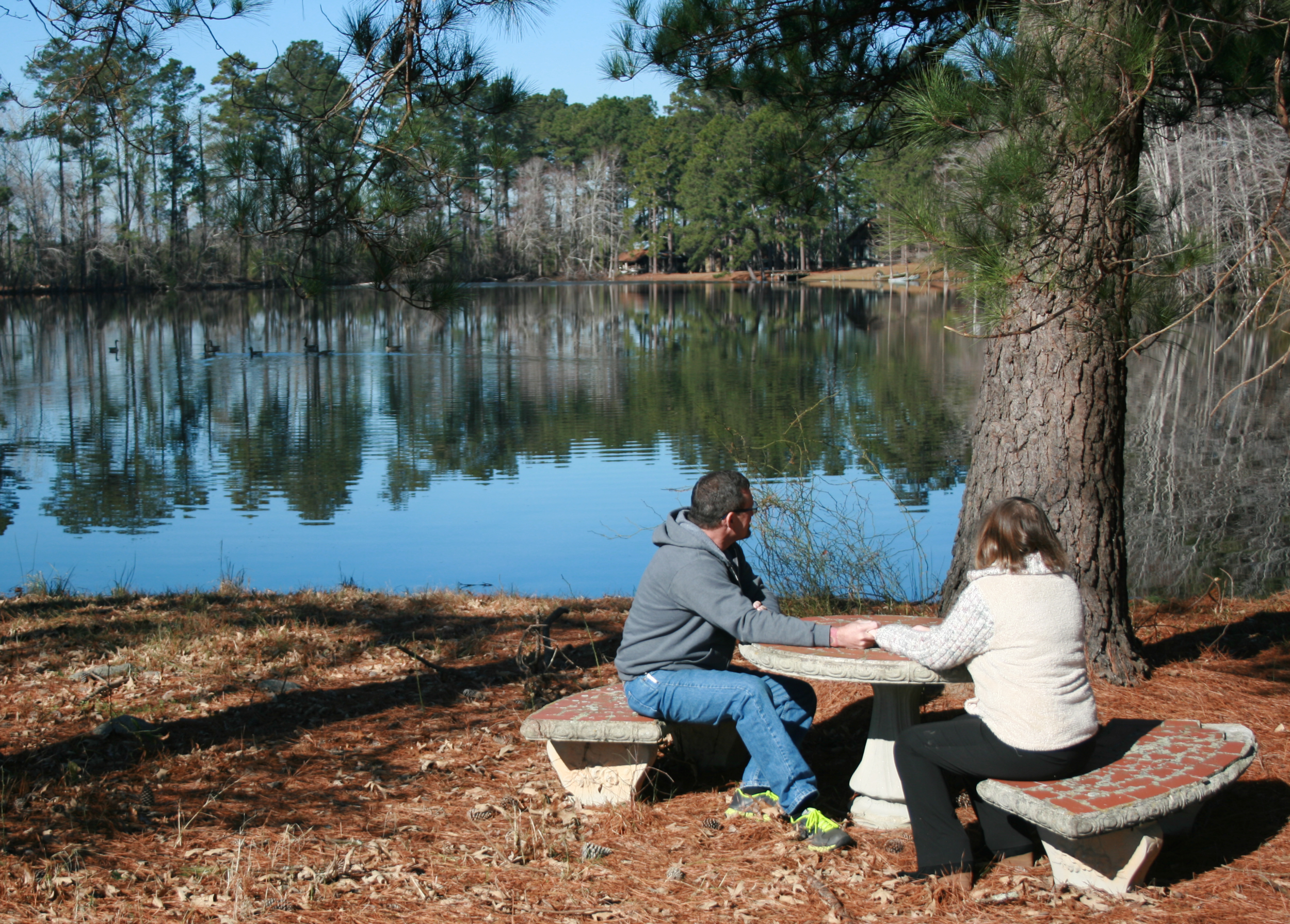 By the pond.png