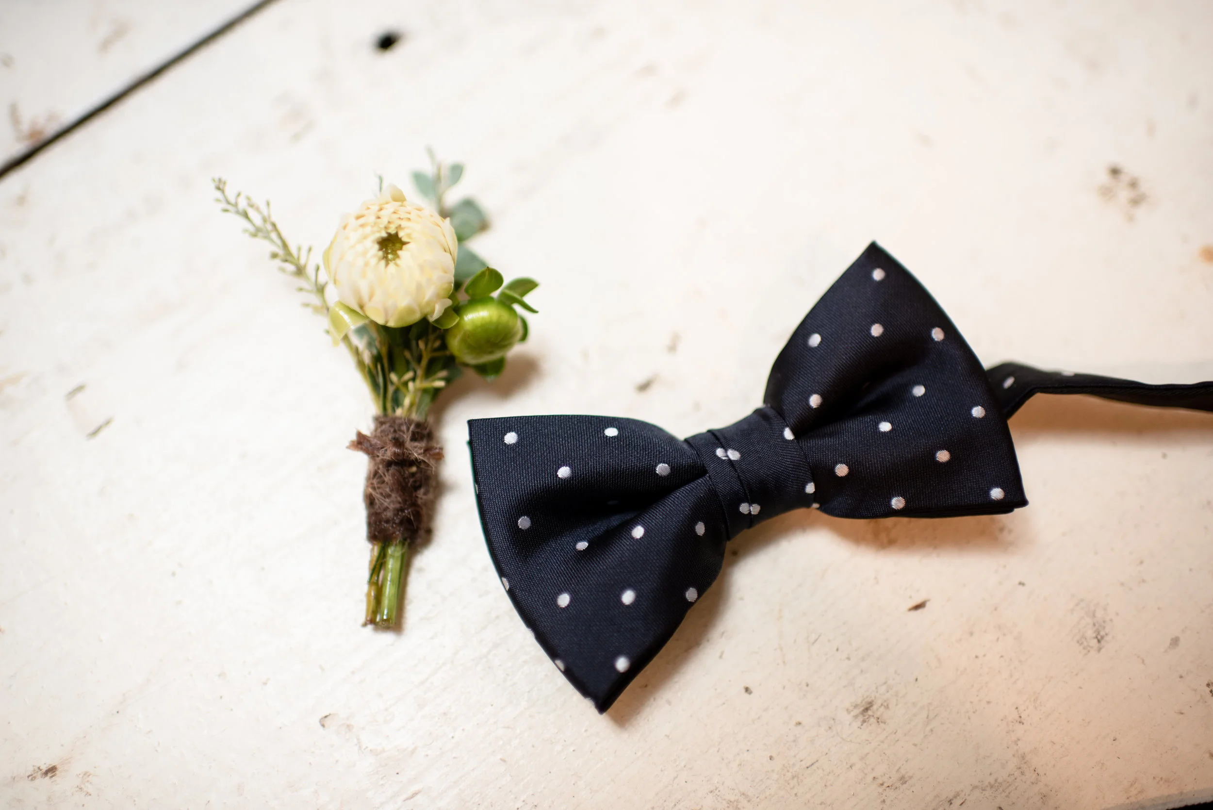 branchesandbloomsdesigndiy.jpg