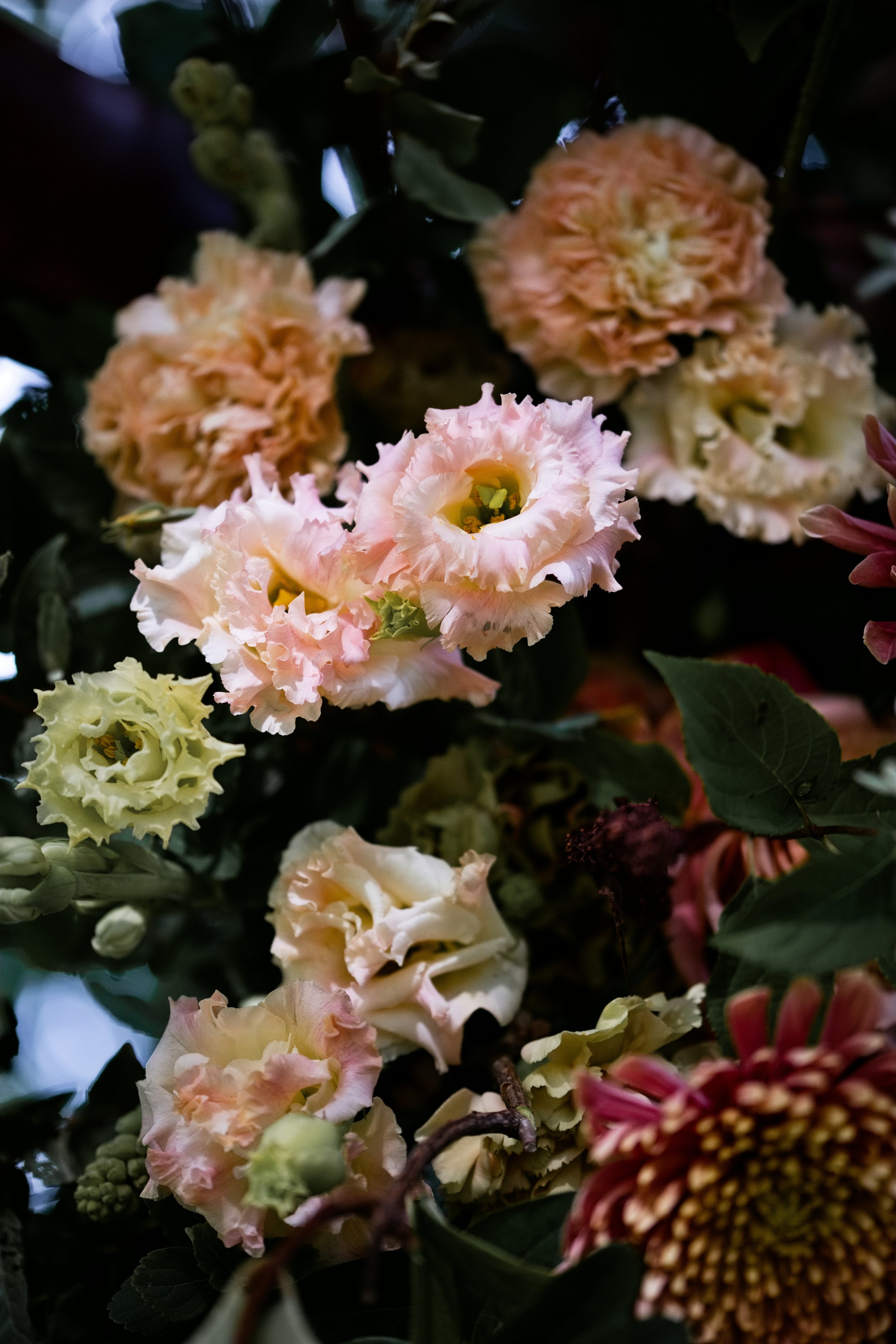 Flowers at The Inn at Fox Briar Farm