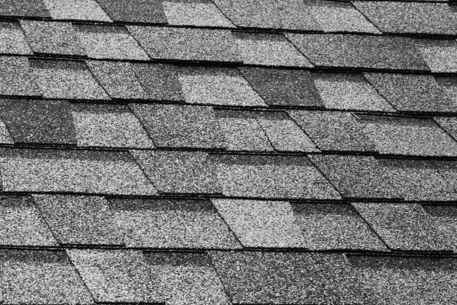 shingle roof.jpg