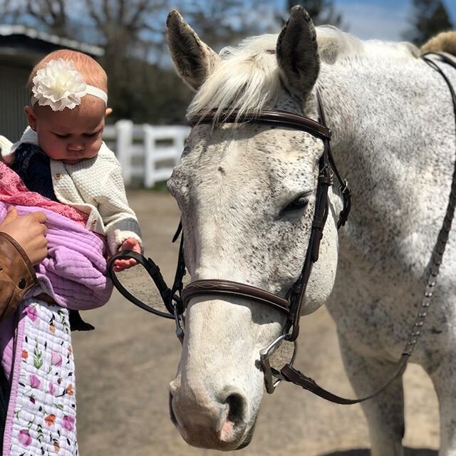 Yesterday our littlest pony rider turned O N E 💝 Happy Birthday Elsa! 🥳 #babiesofphc #horsesofhilltop - Zoom 💕