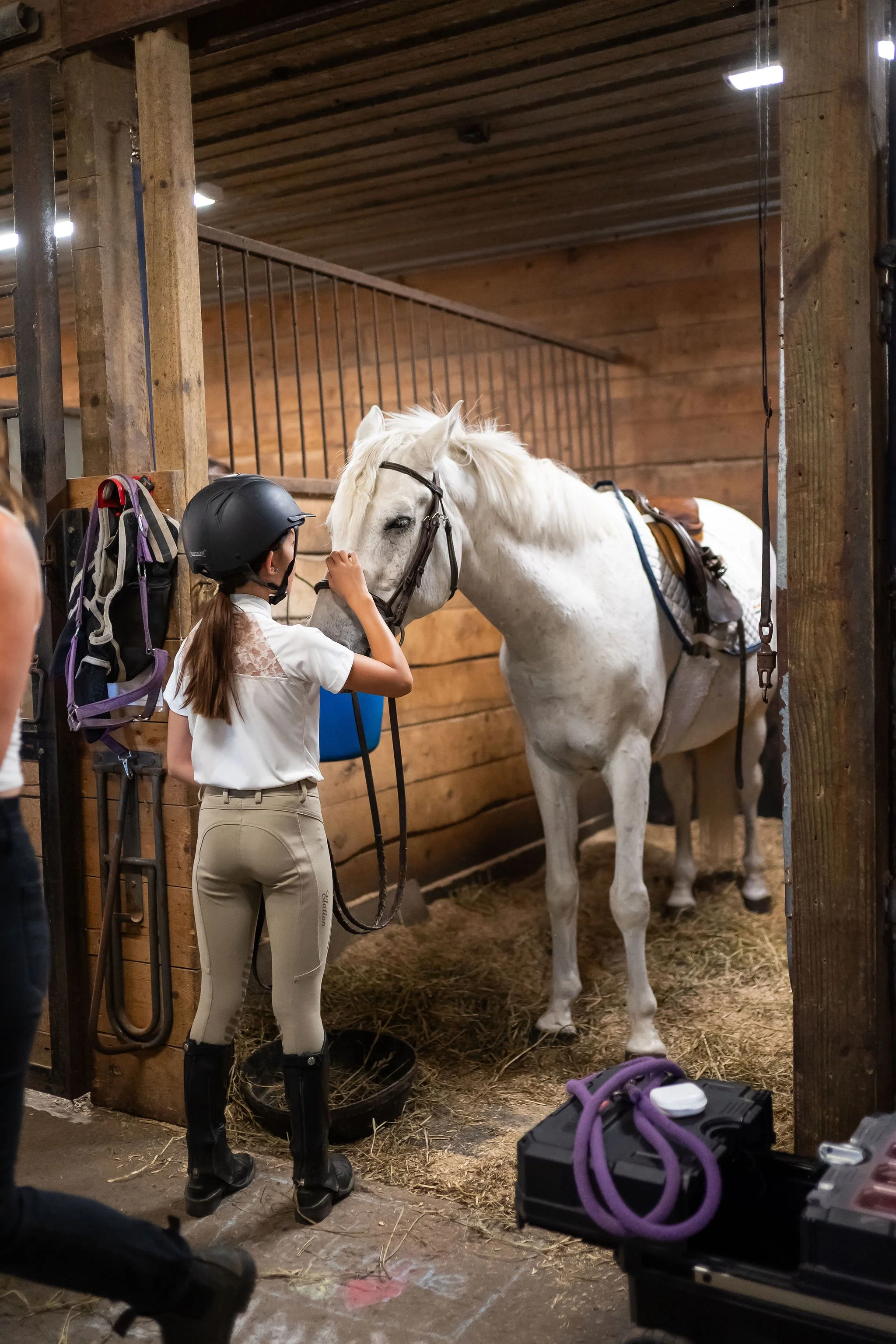 Smiling young girl brushing a pony at Pickering Horse Centre