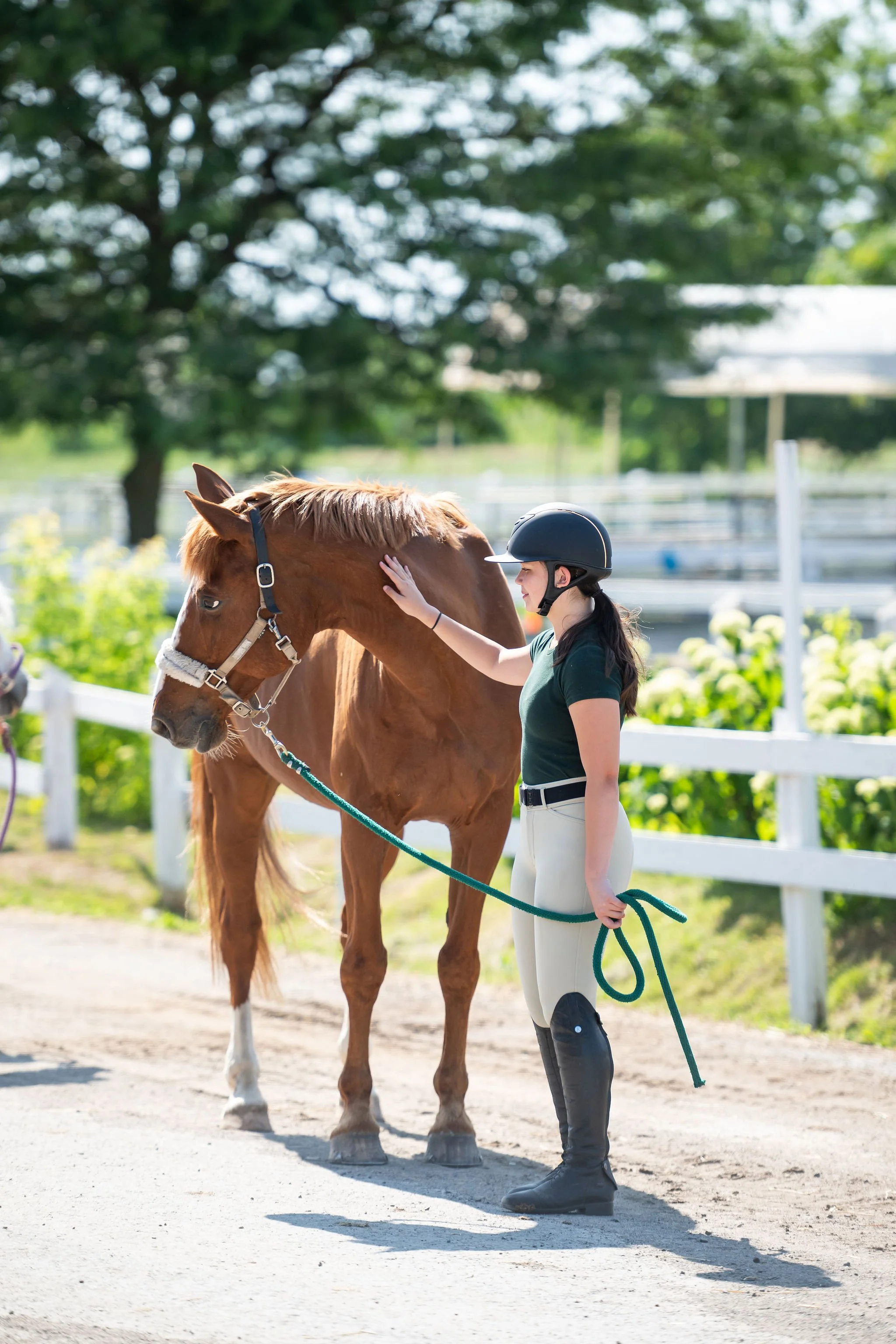 Riding instructors with a young student and her horse at Pickering Horse Centre