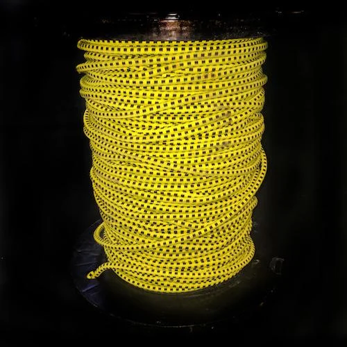 5-16 Bungee.jpg