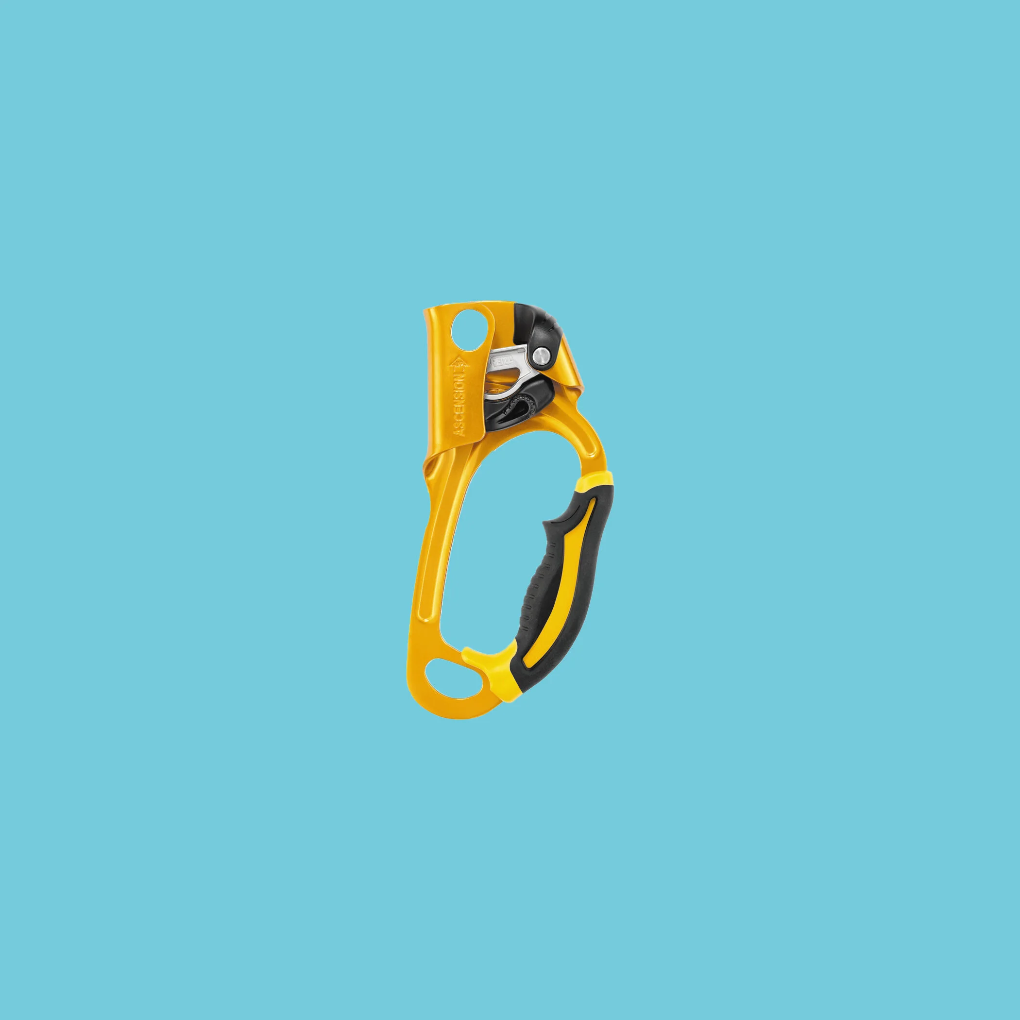 Petzl ASCENSION Ascender
