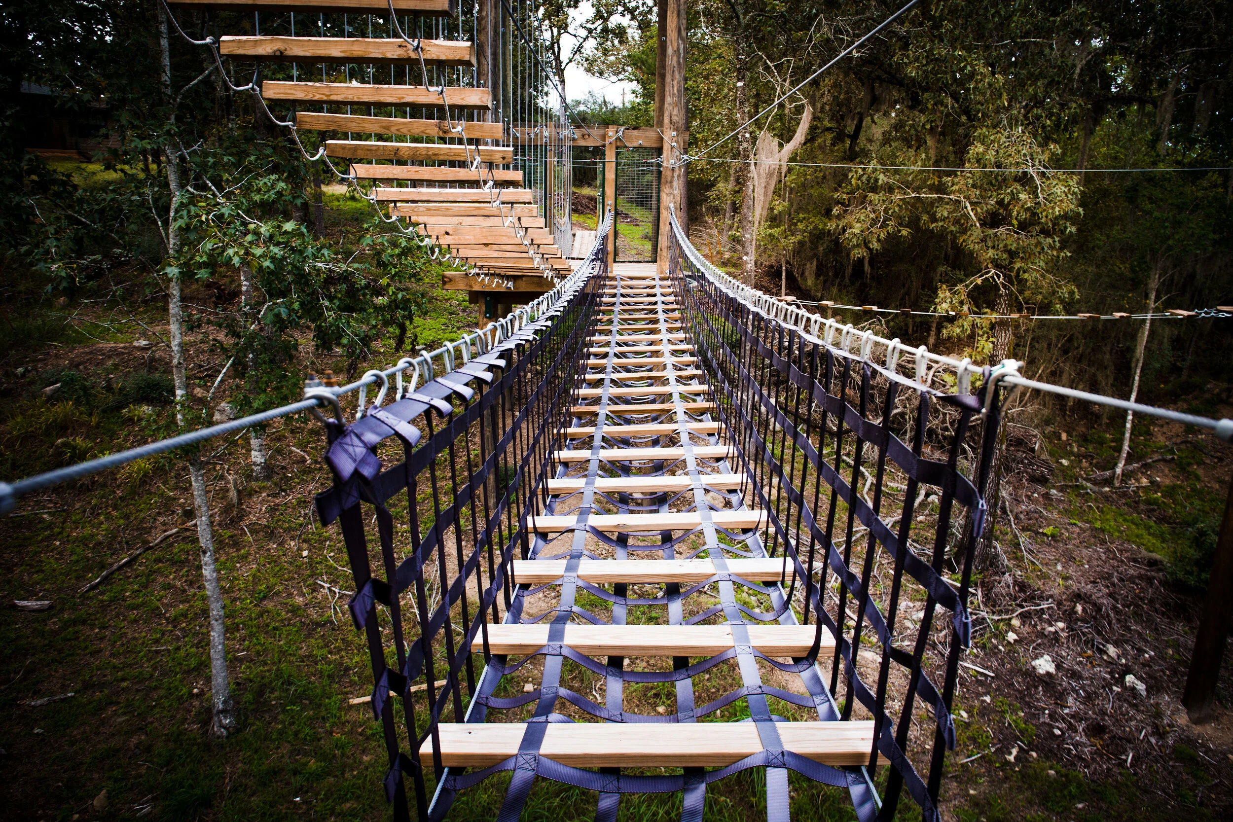 ae-id-8.jpg