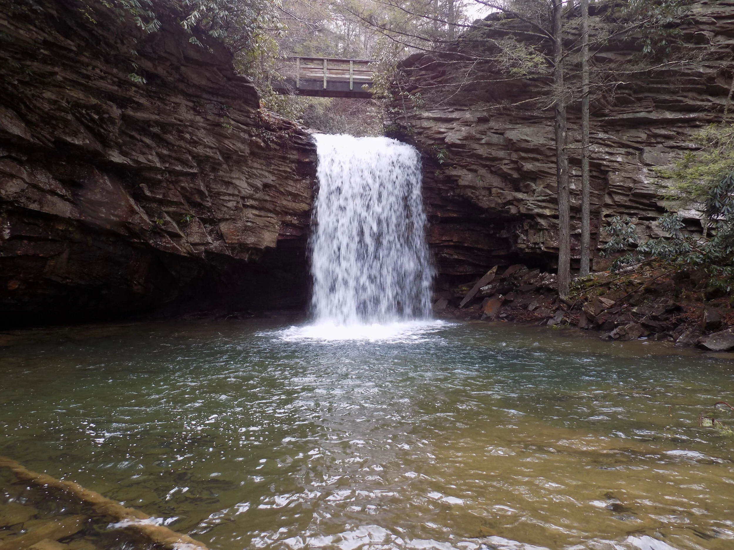 DSCN0212.JPG