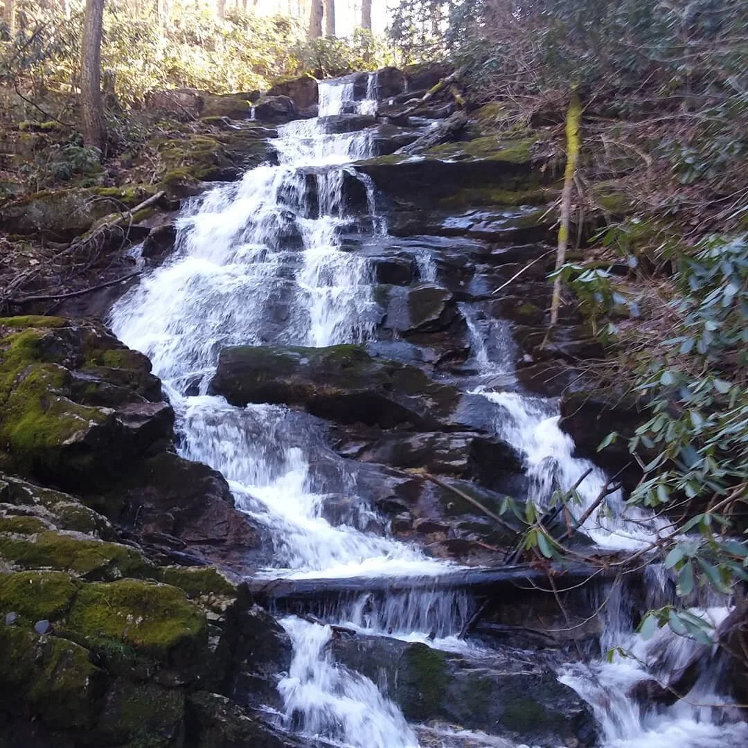 Waterfall tours will be epic this time of year with the surplus of spring rains we have had. Contact us if you're interested
#waterfall #tours #outdoors #nature