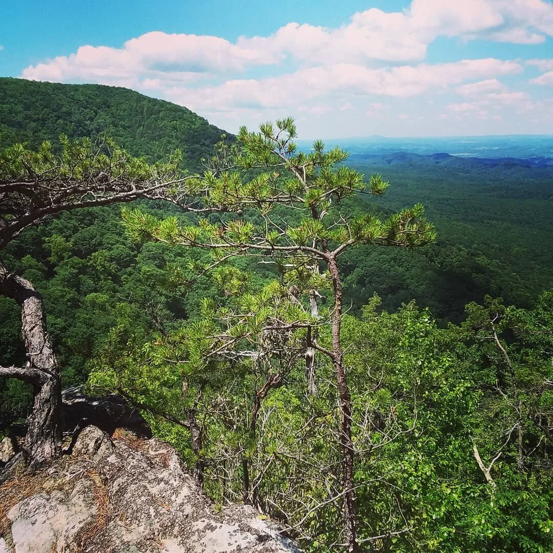 Happy #earthday ! Let's leave no trace when we hike/camp so we can continue to see pristine scenes of nature. #earth #nature #naturephotography
