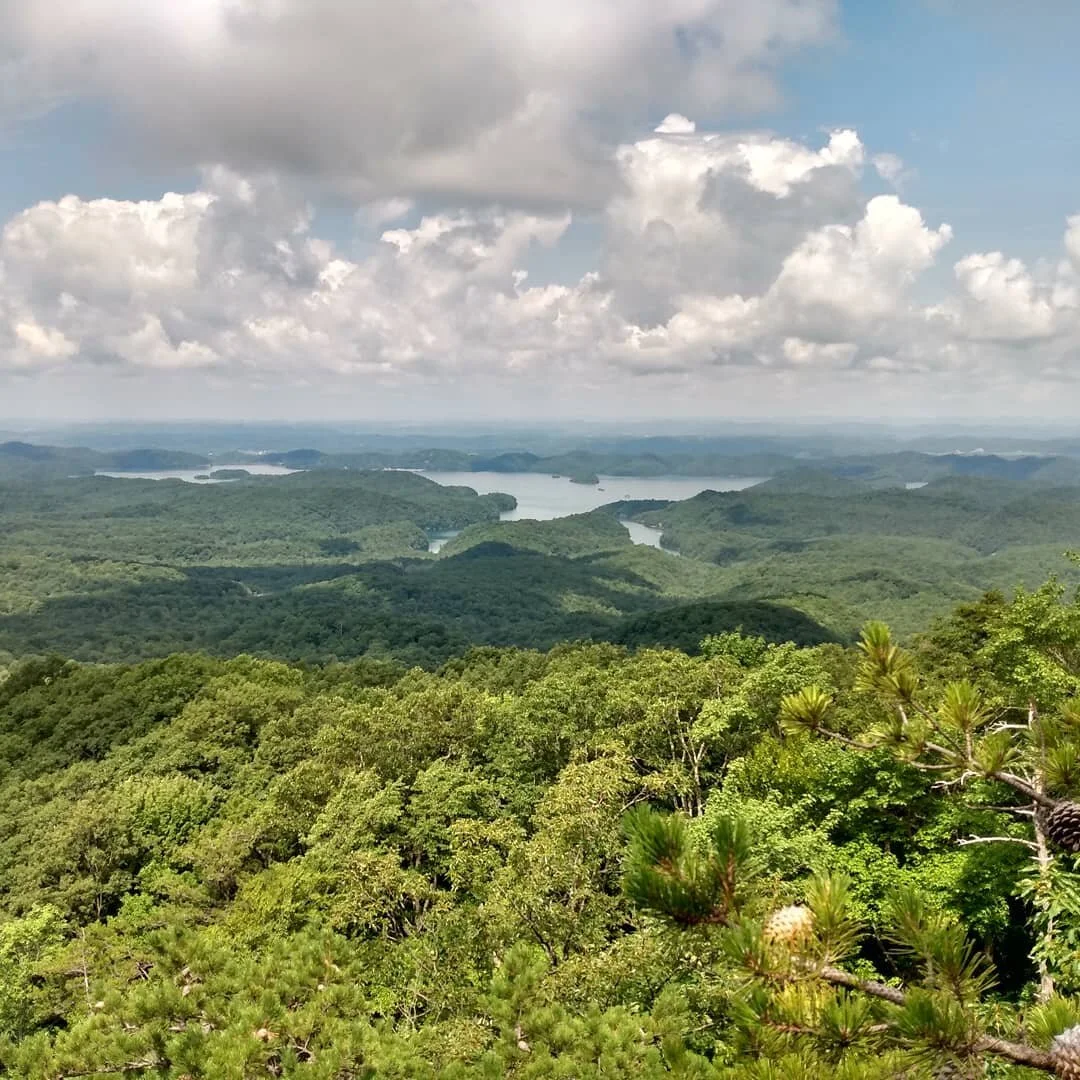 Unexpected view of South Holston Reservoir found today due to a friend who showed us a new way up the mountain.