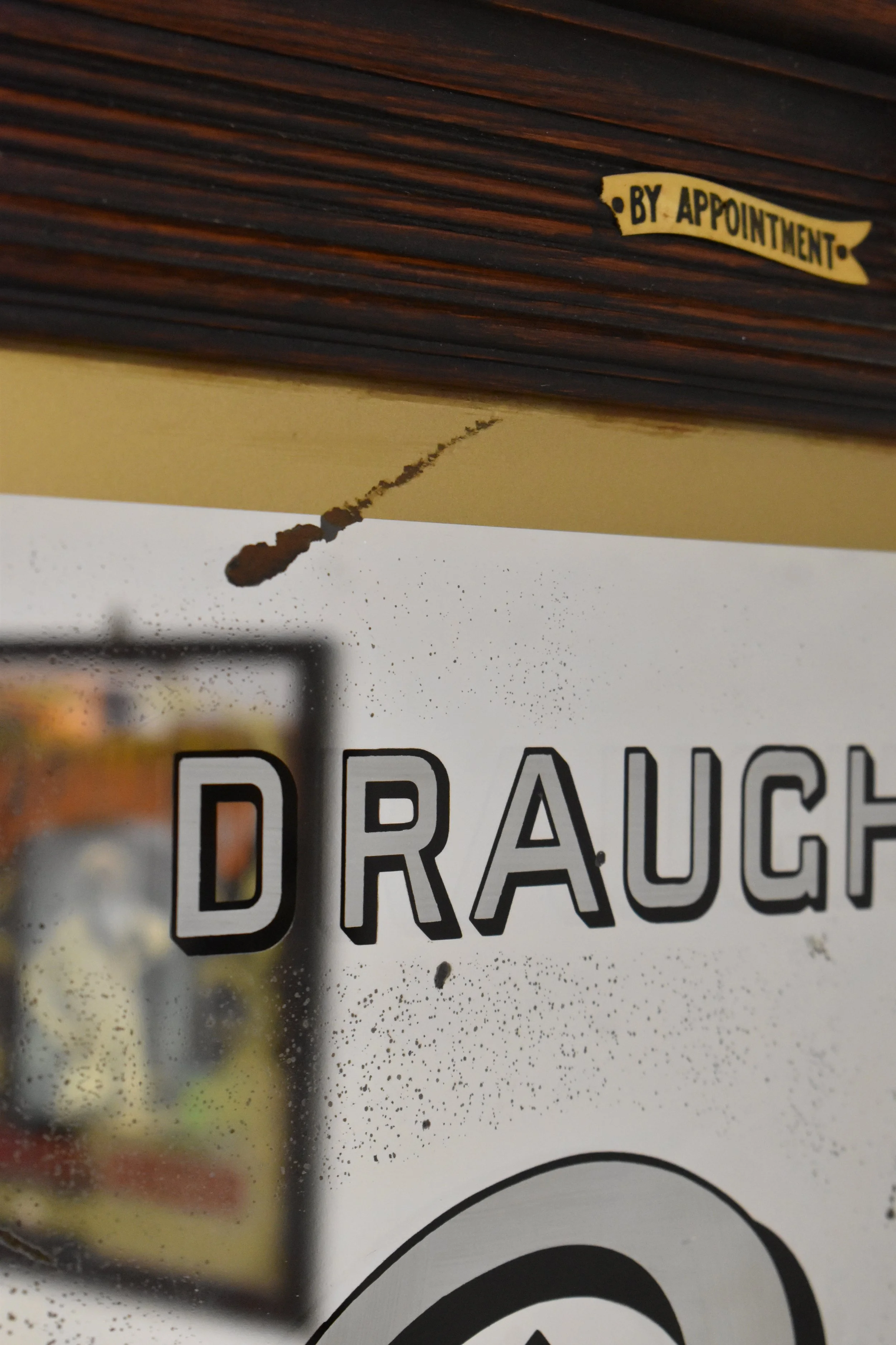 DSC_1560.JPG