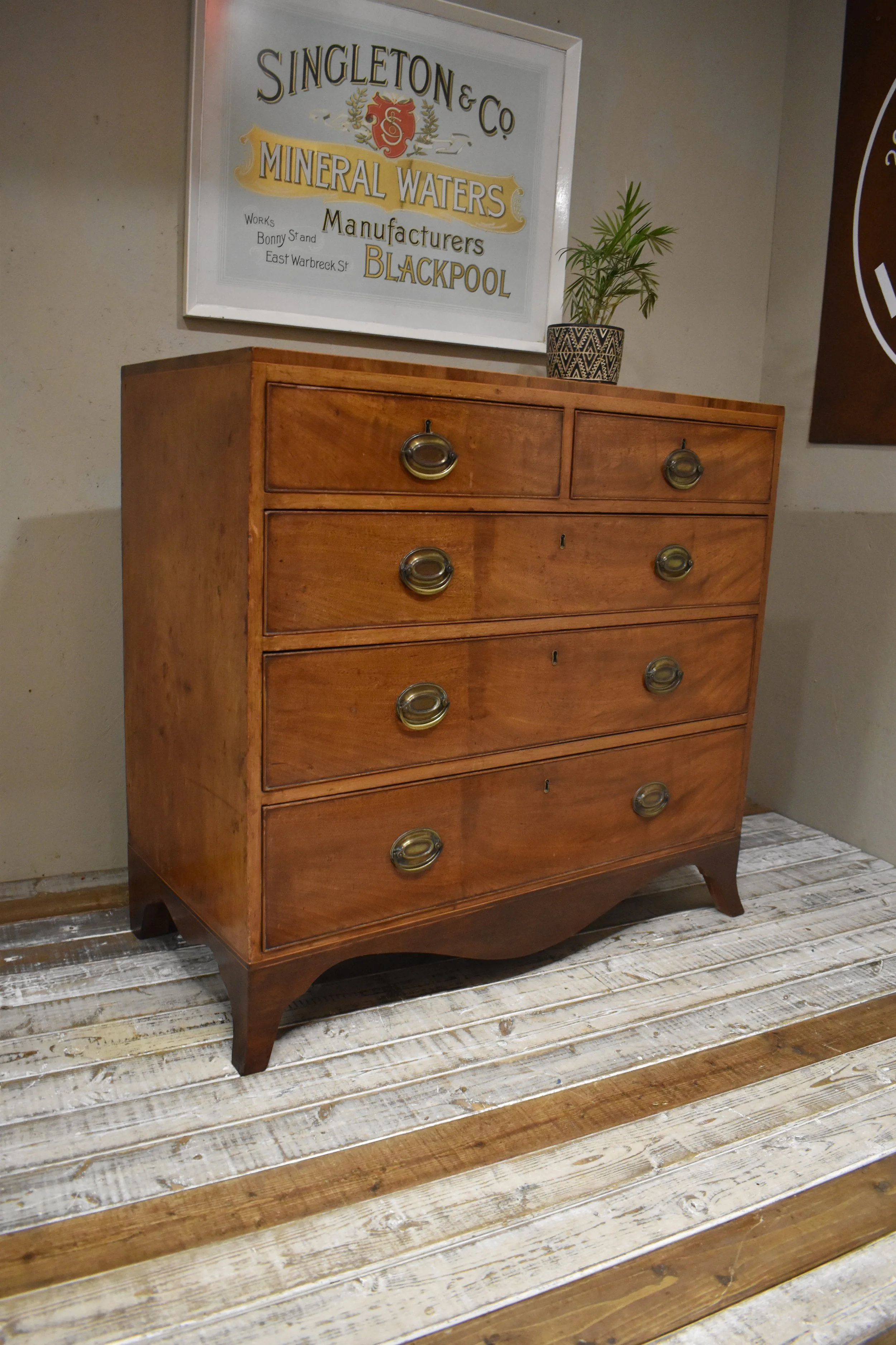 Antique Regency Victorian Mahogany Chest of Drawers