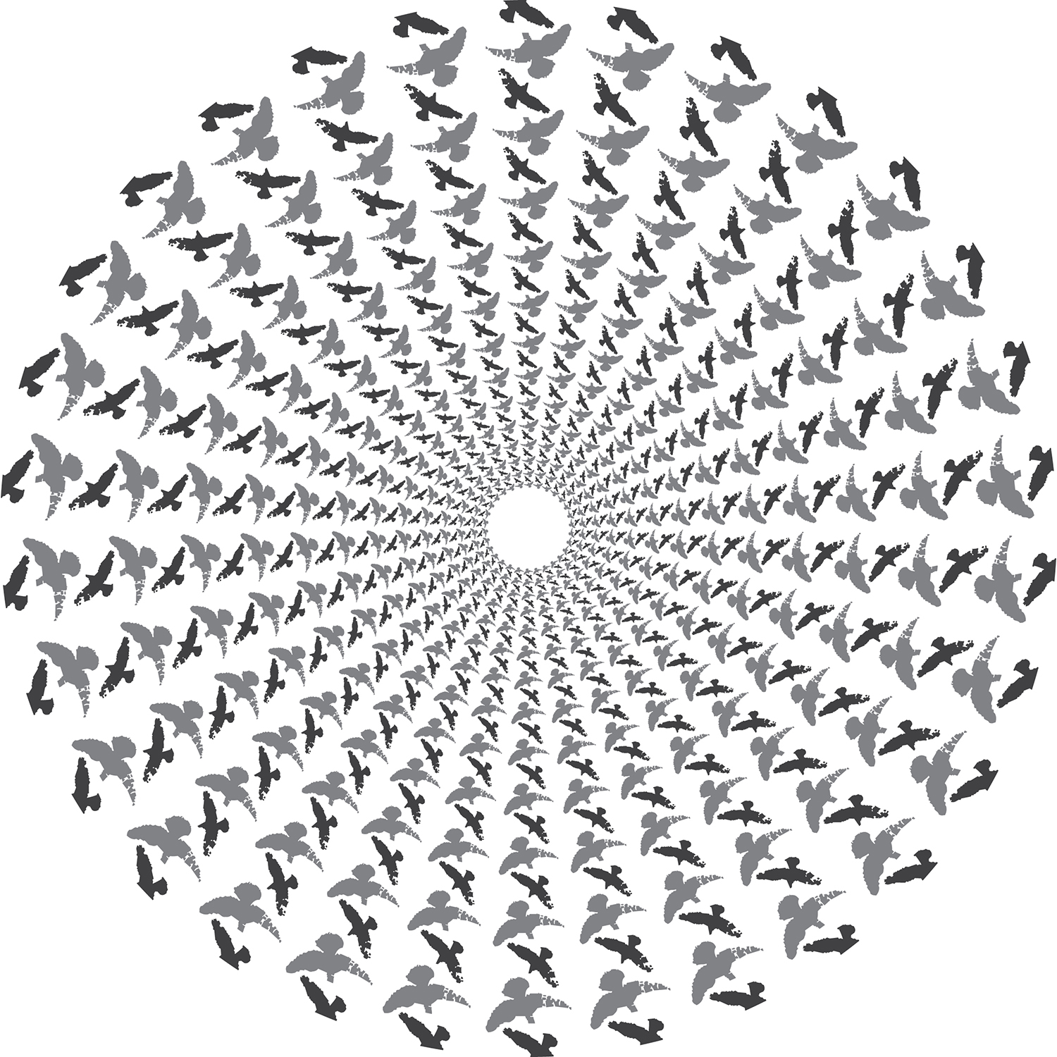 Fuse-034.jpg
