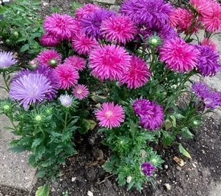 READ OUR NEWS SHEET FOR SUNDAY 21ST  &amp; 29TH MAY 2023