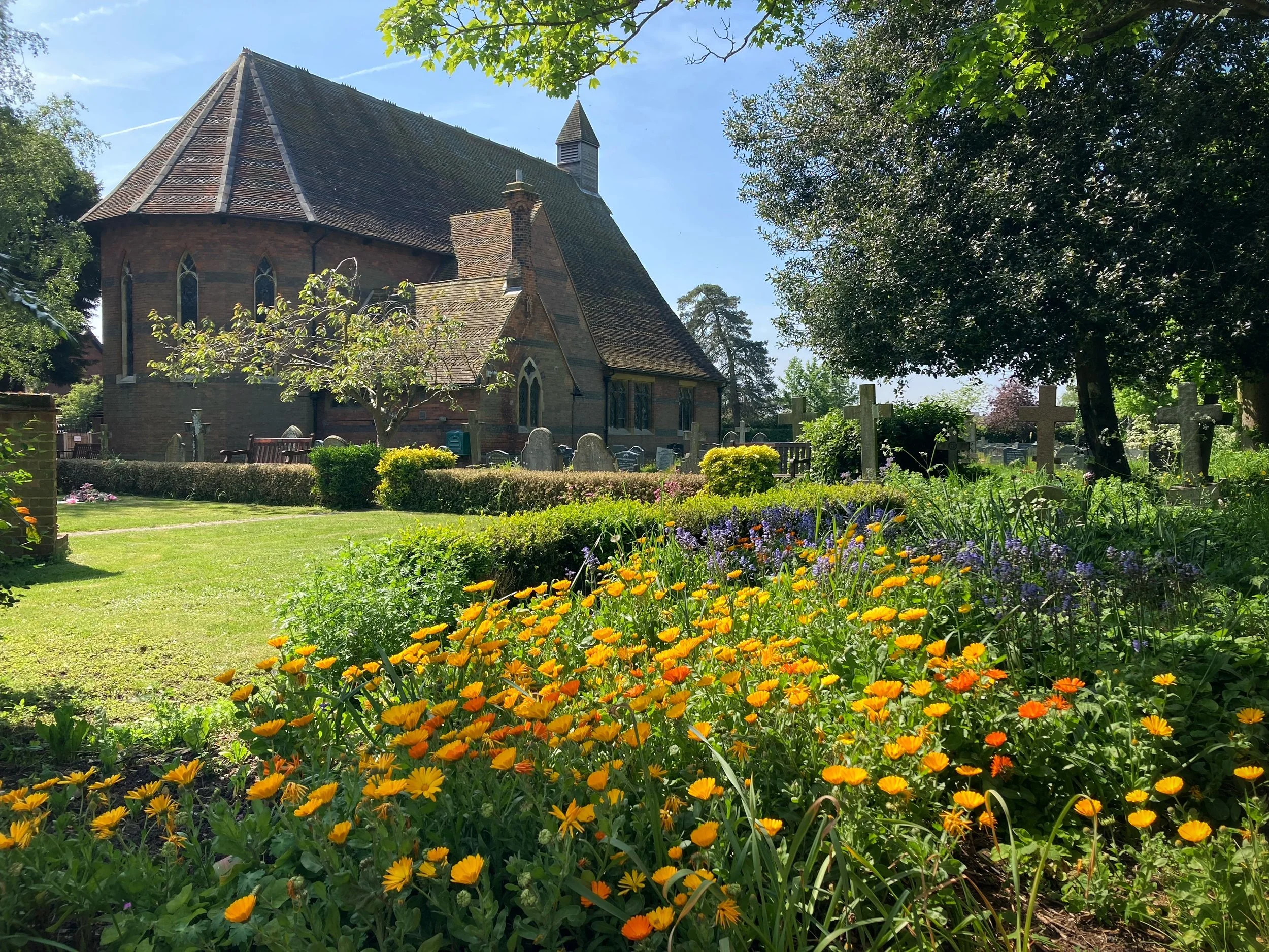 Read our News sheet for Sunday 26th May