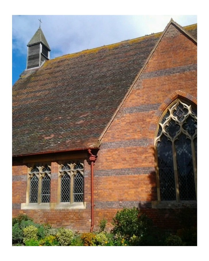 Read our Weekly News sheet for Sunday 30th August