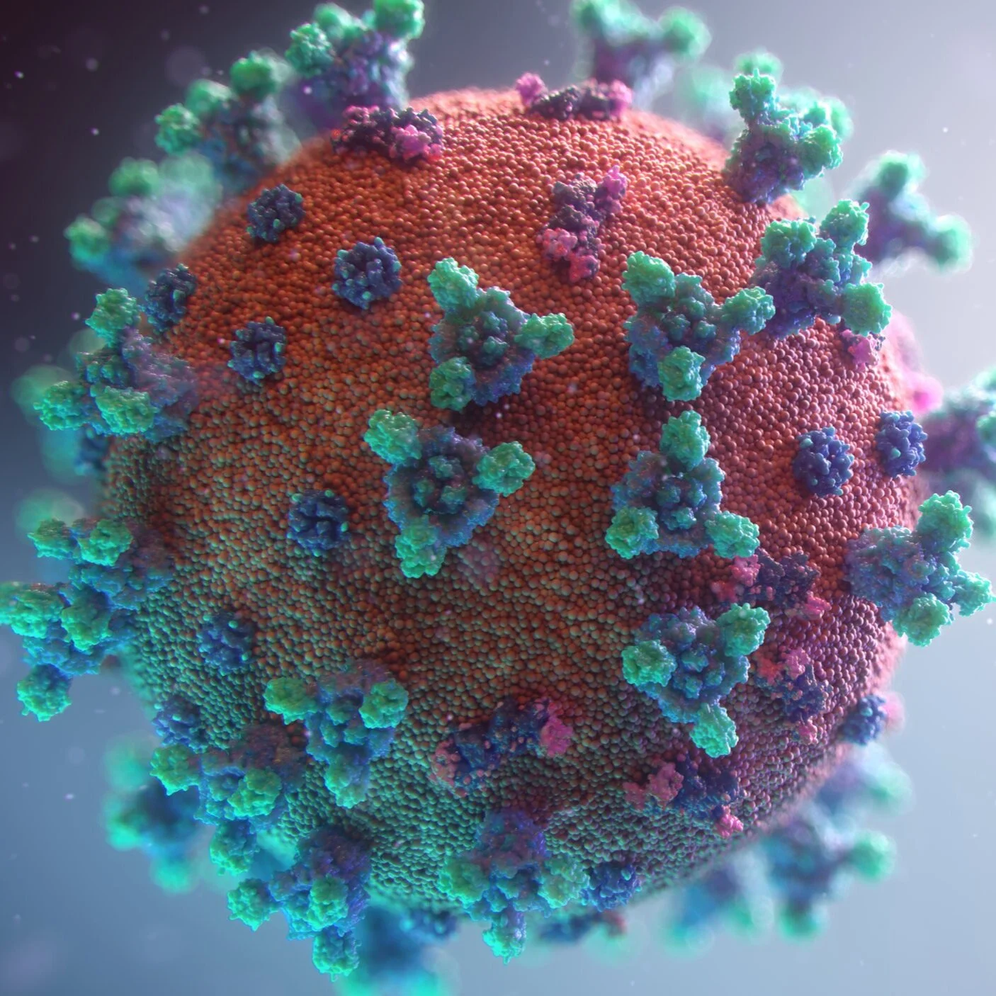 Why Has God Allowed the Coronavirus?