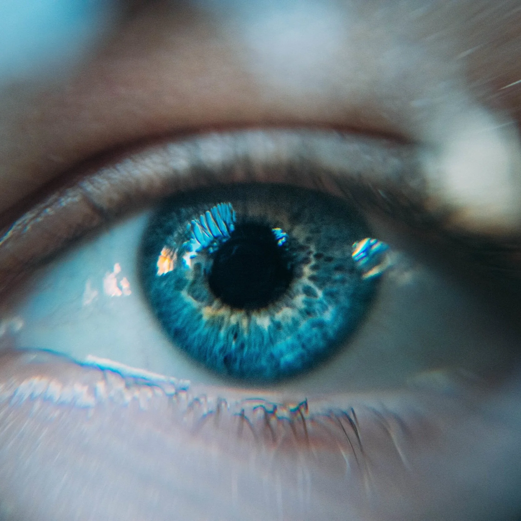 Plank-Eyed Speck Removers