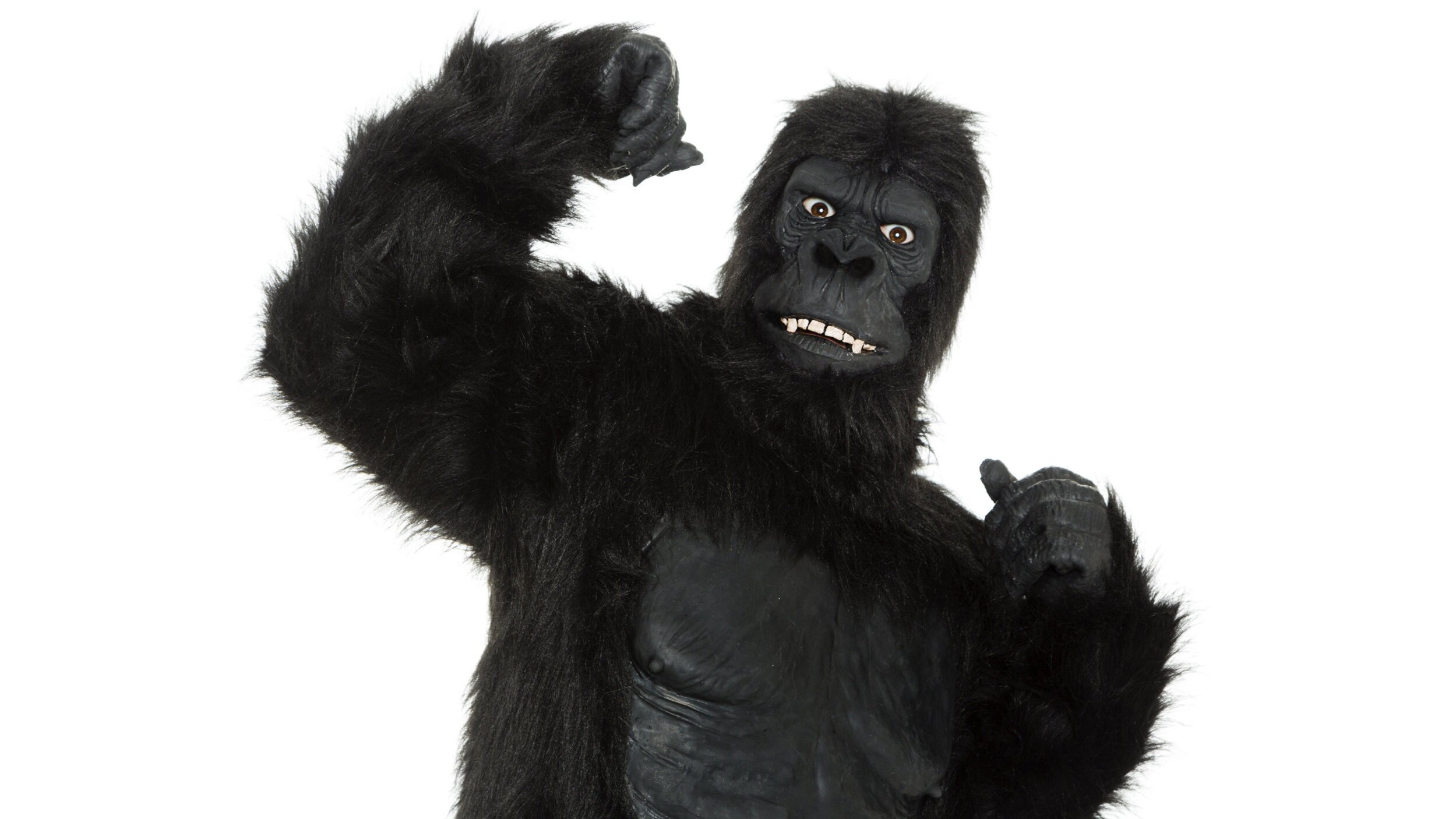 The Invisible Gorilla — Dave DeSelm Ministries