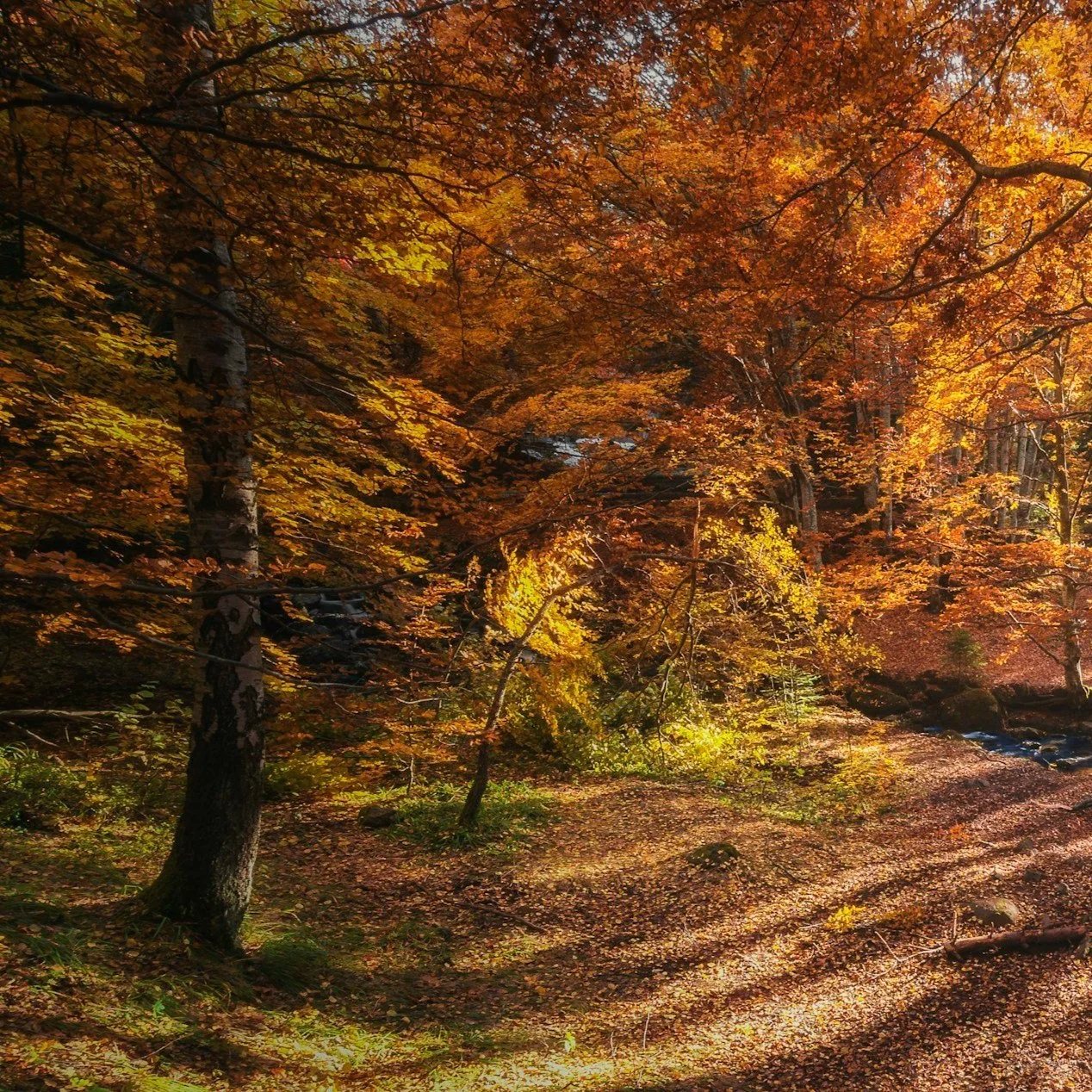 Embracing This Season of Change