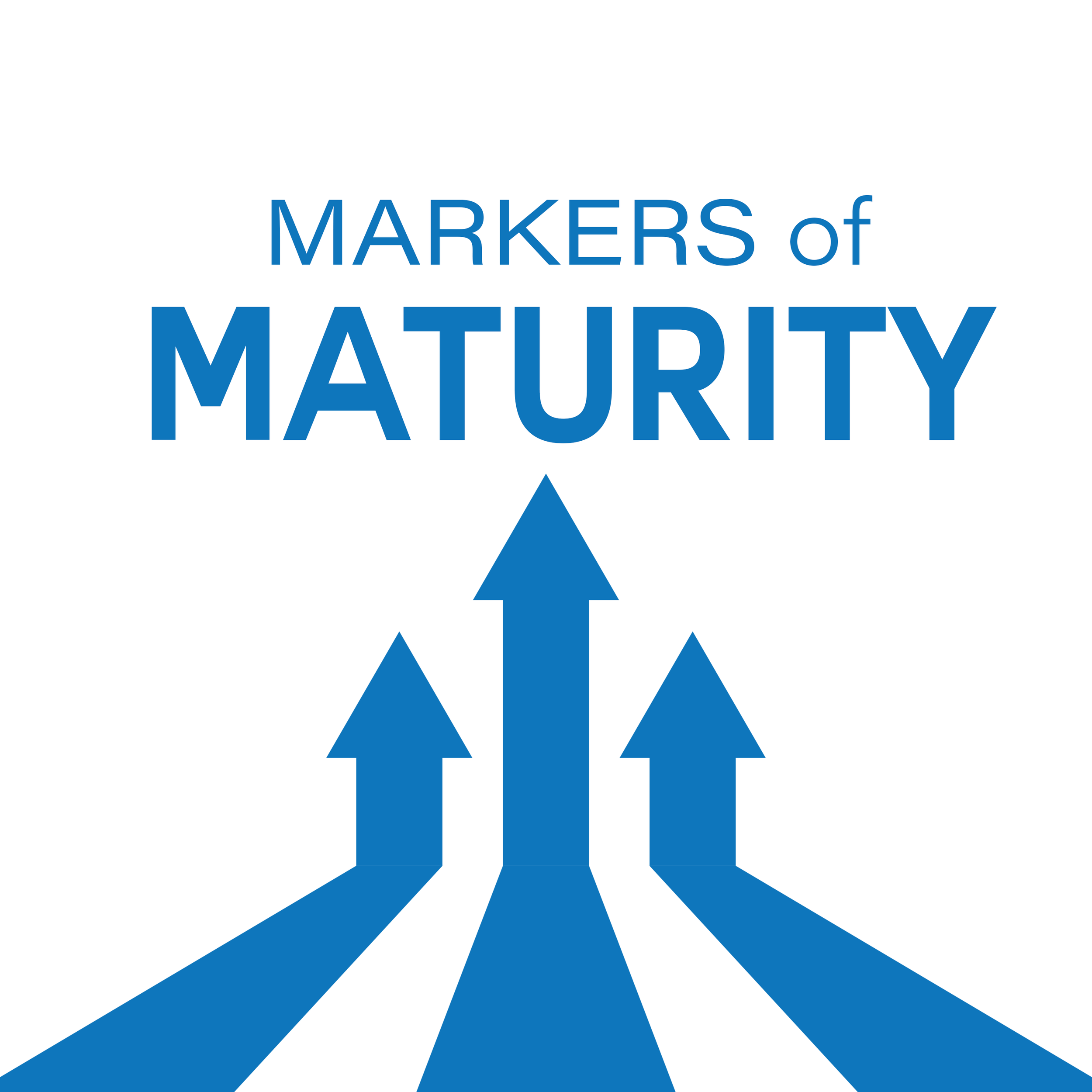 120 Markers of Maturity