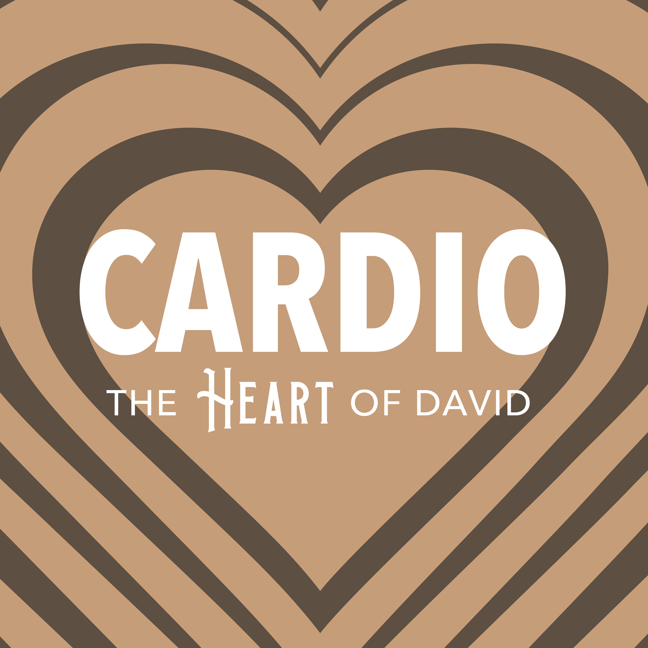 151 Cardio: A Passionate Heart